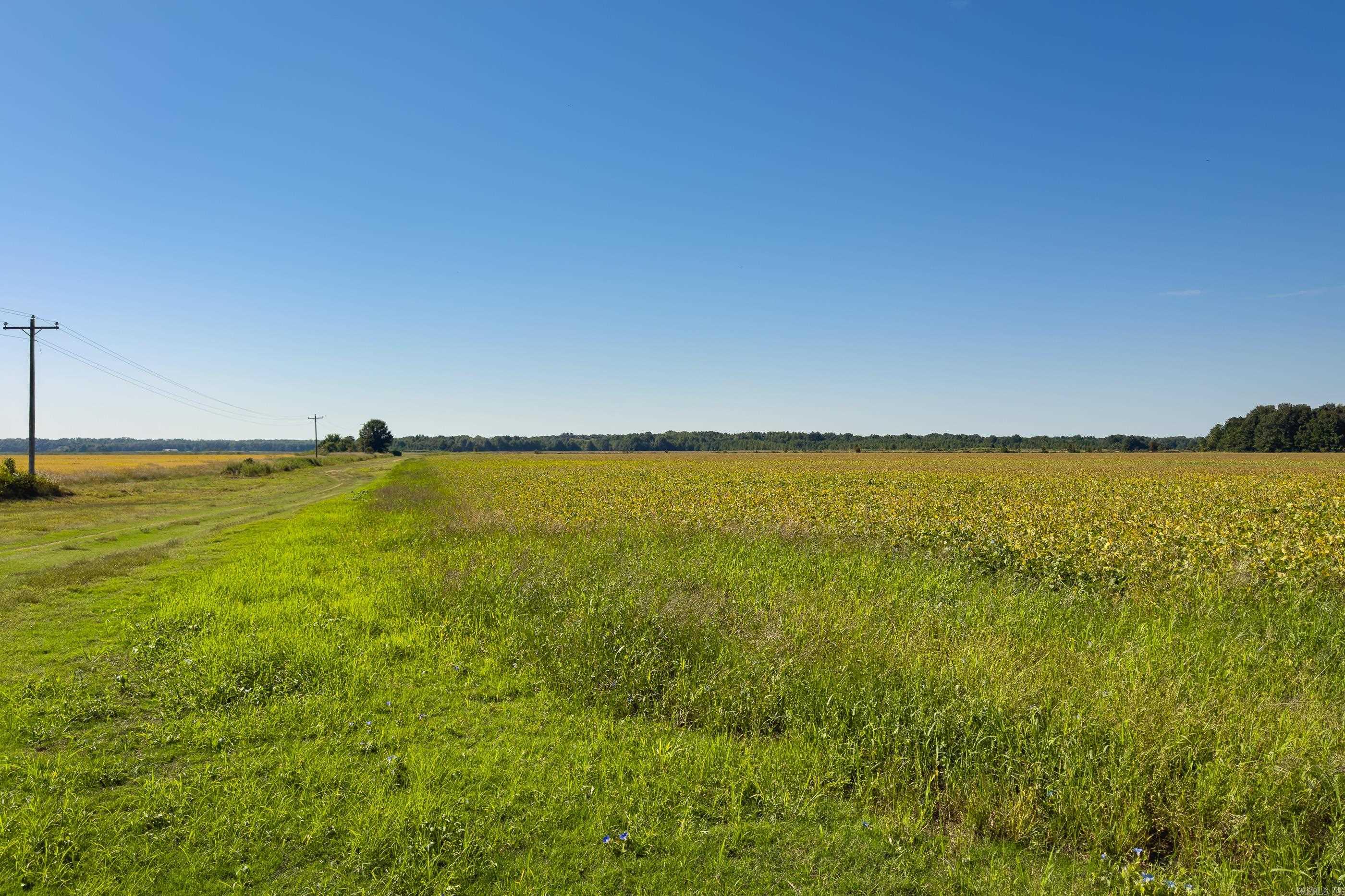 Metes & Bounds - Farm