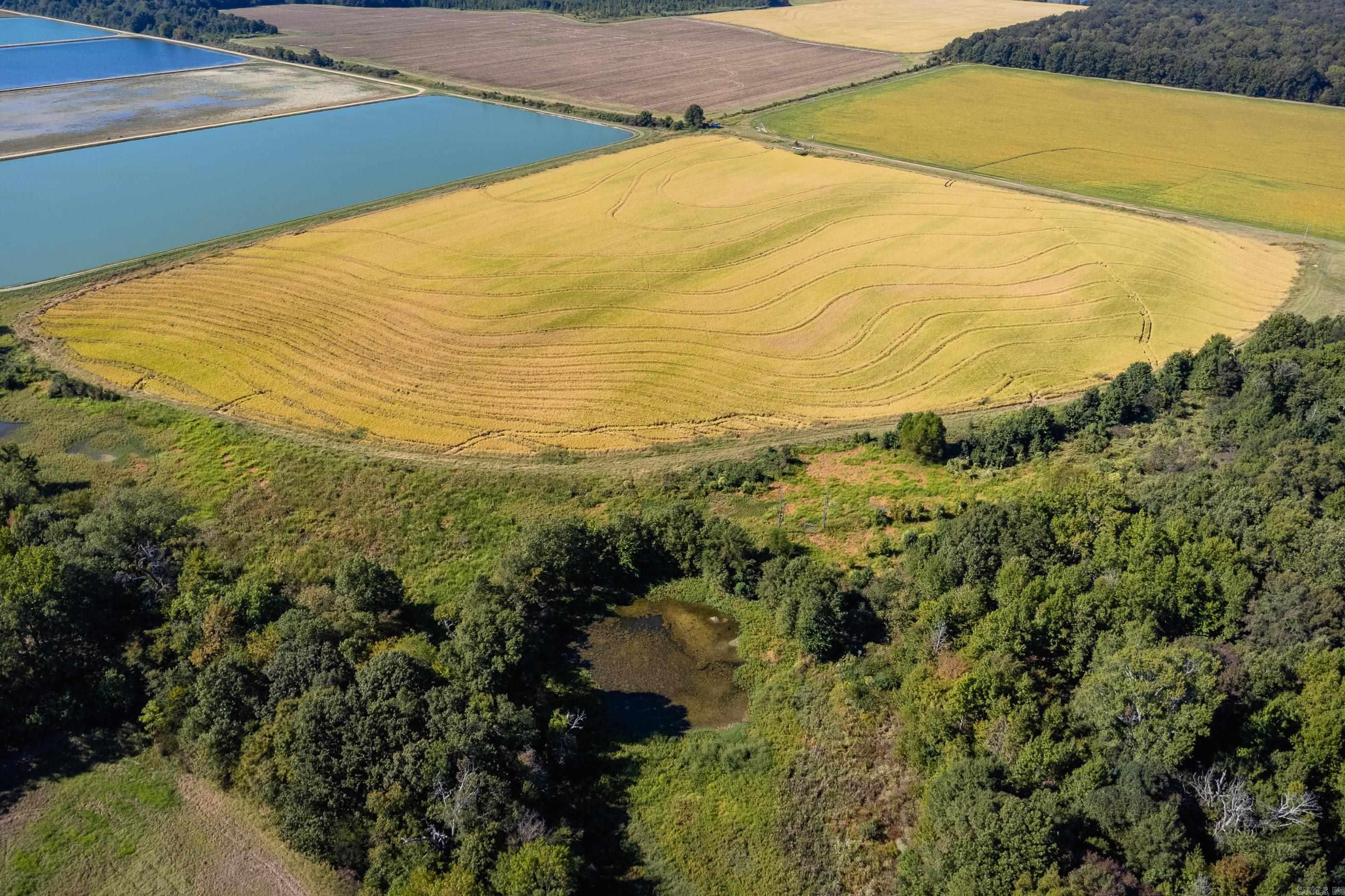 Metes & Bounds - Farm