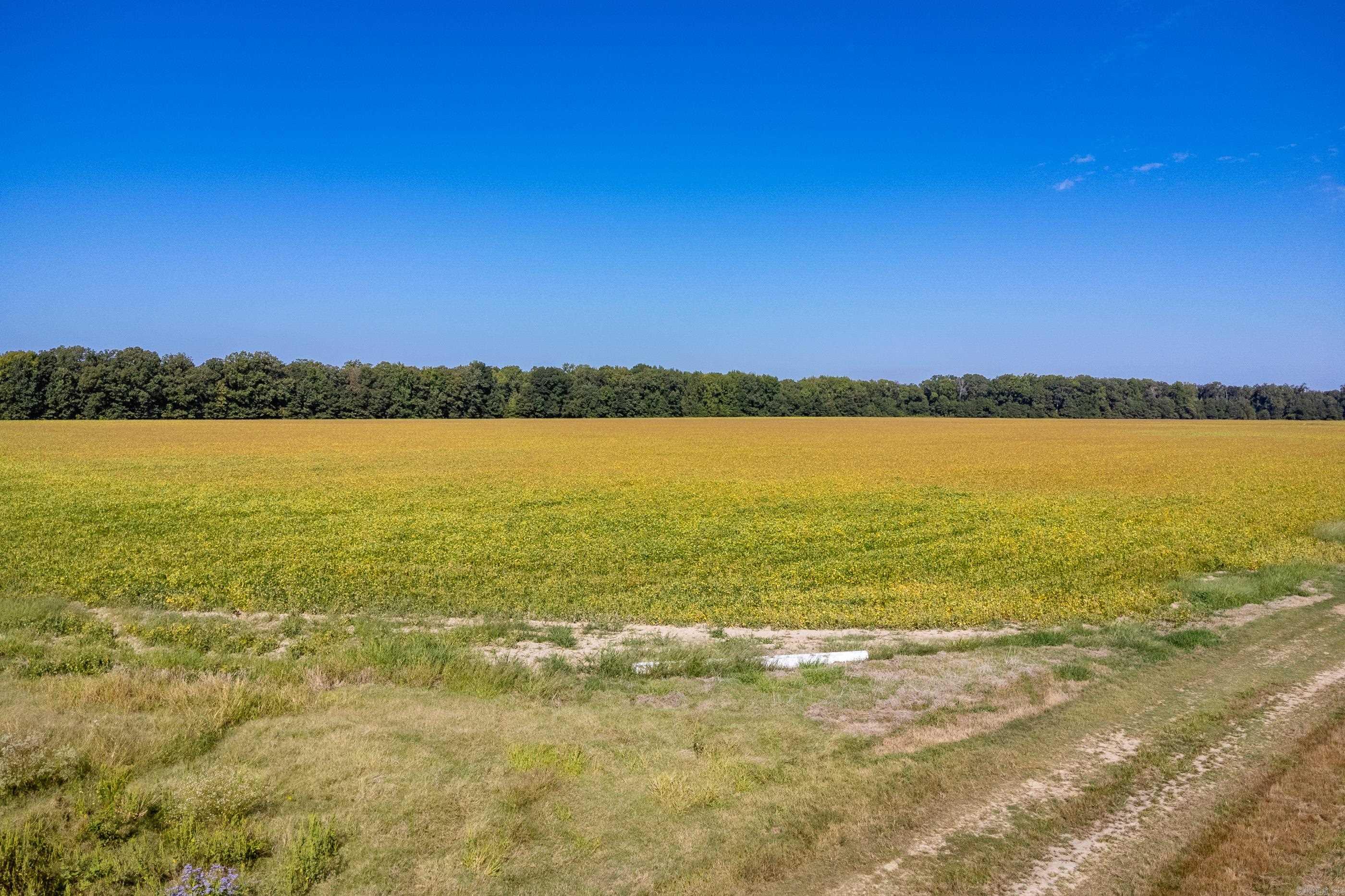 Metes & Bounds - Farm