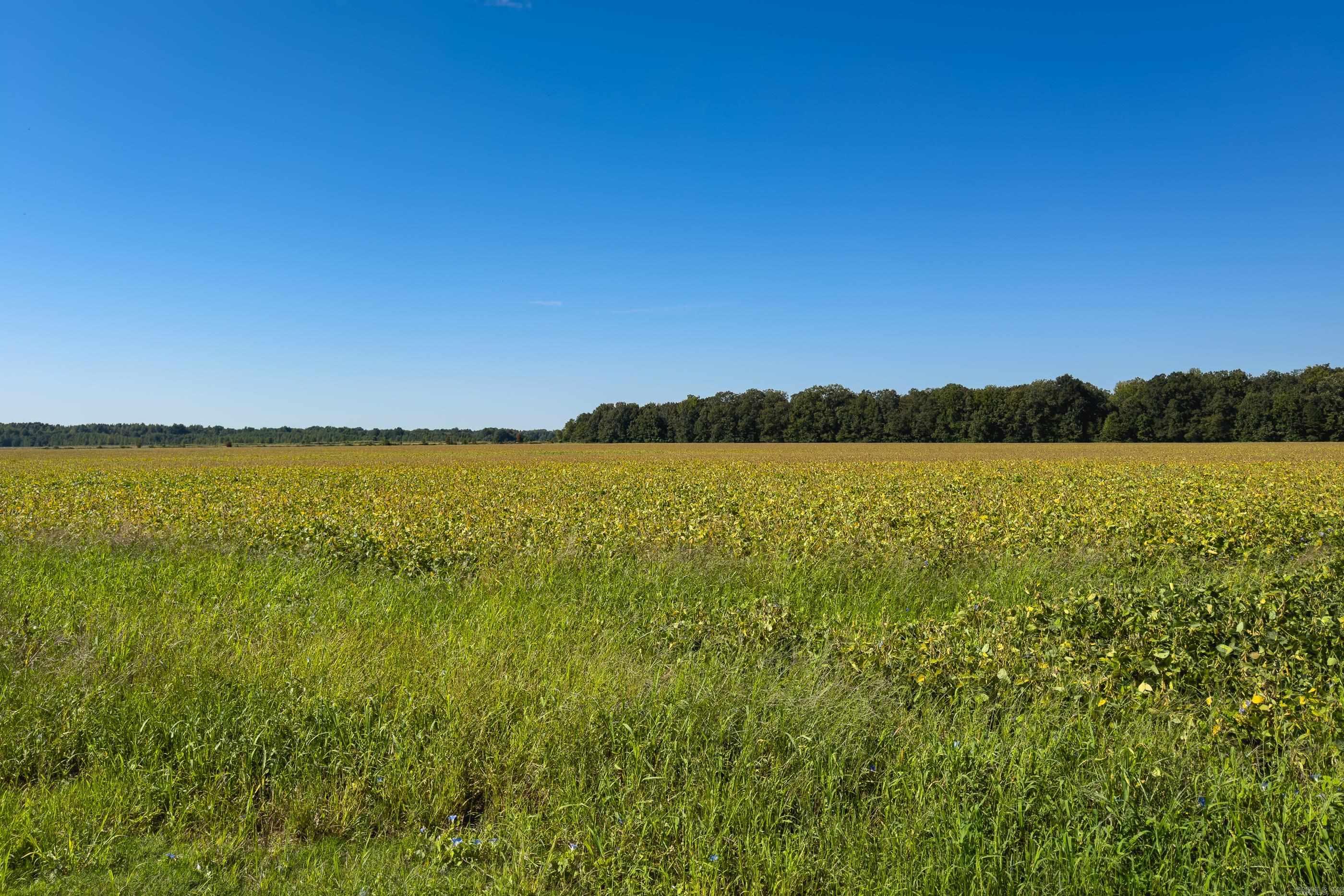 Metes & Bounds - Farm