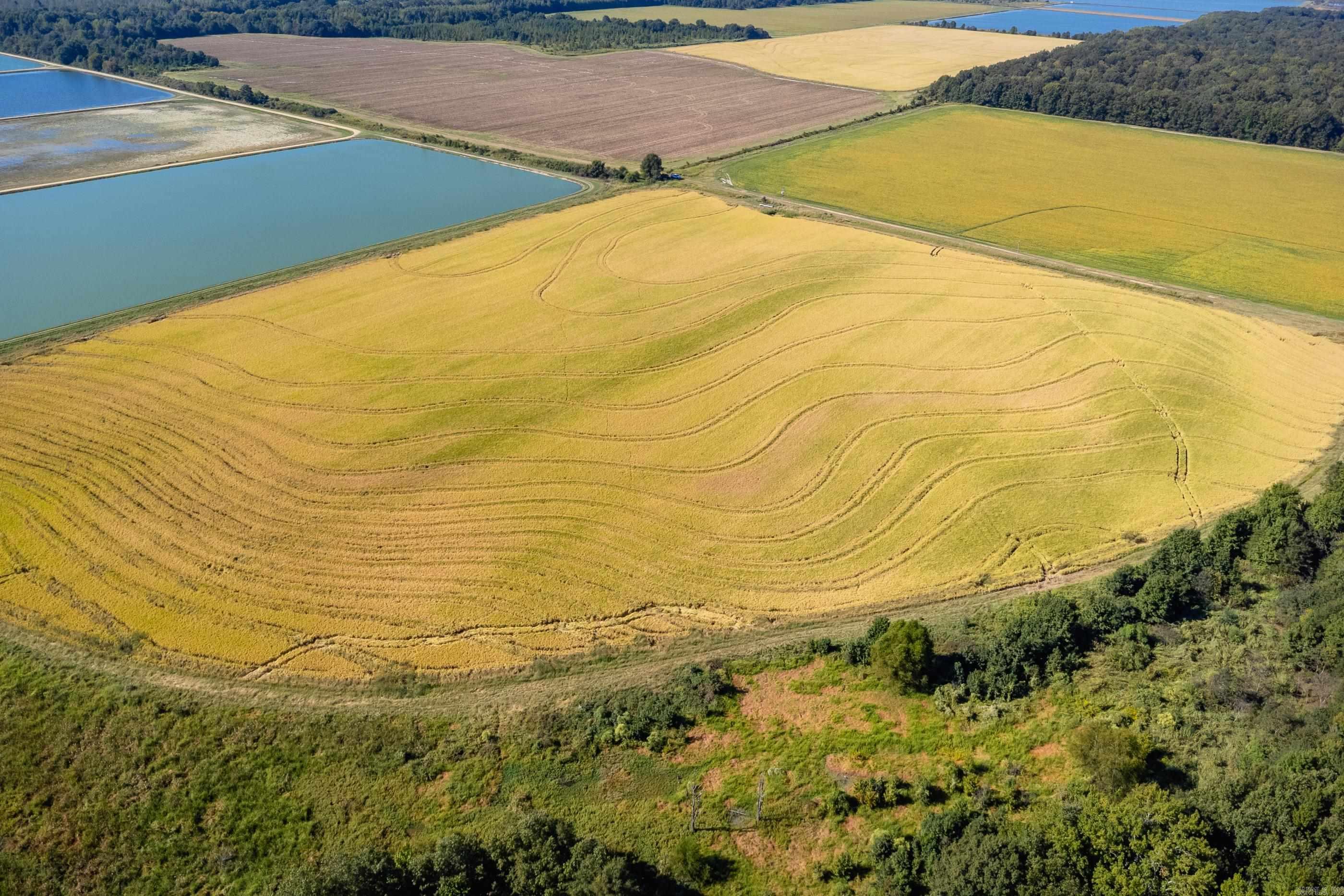 Metes & Bounds - Farm