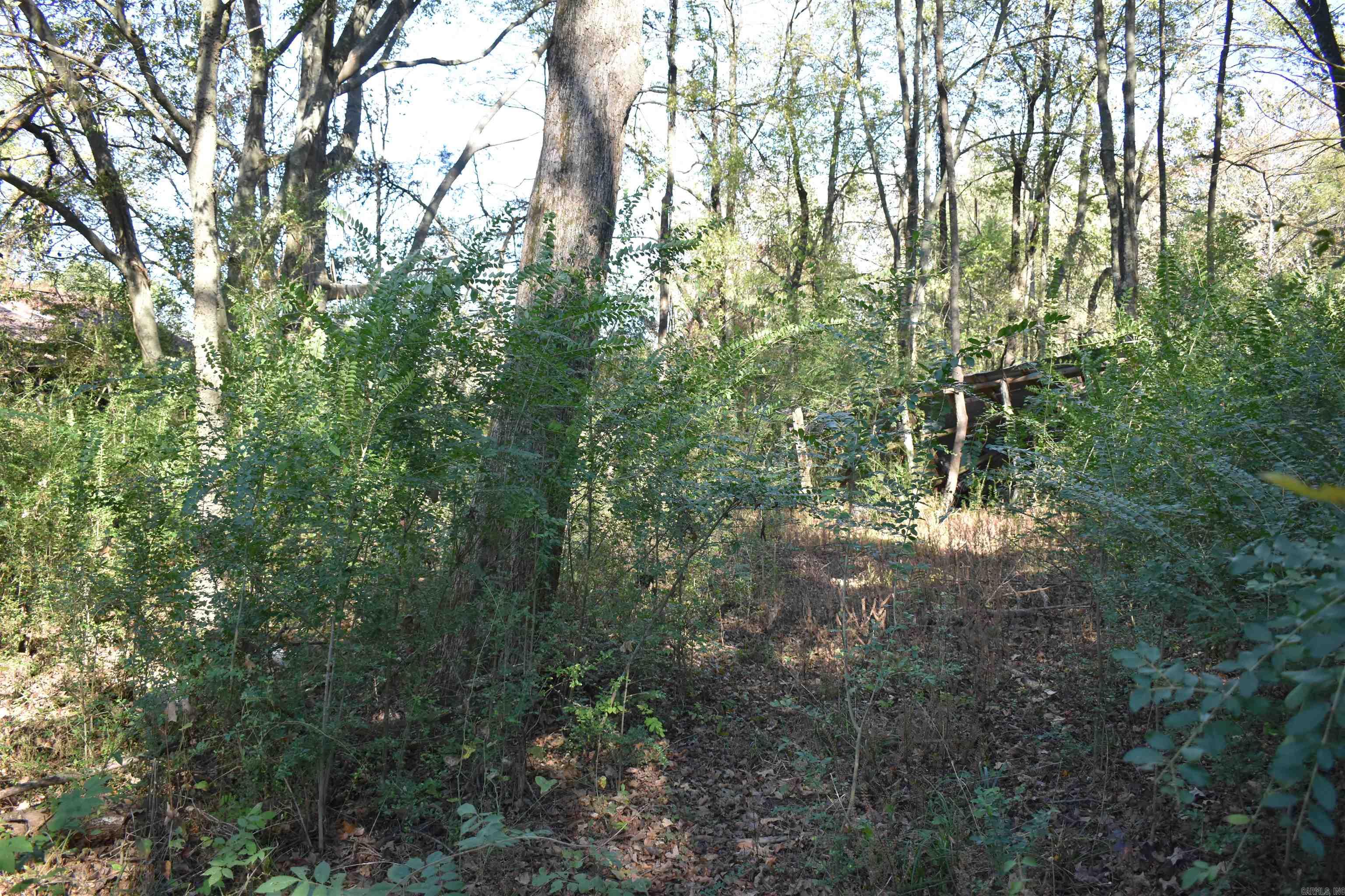 Metes & Bounds - Land