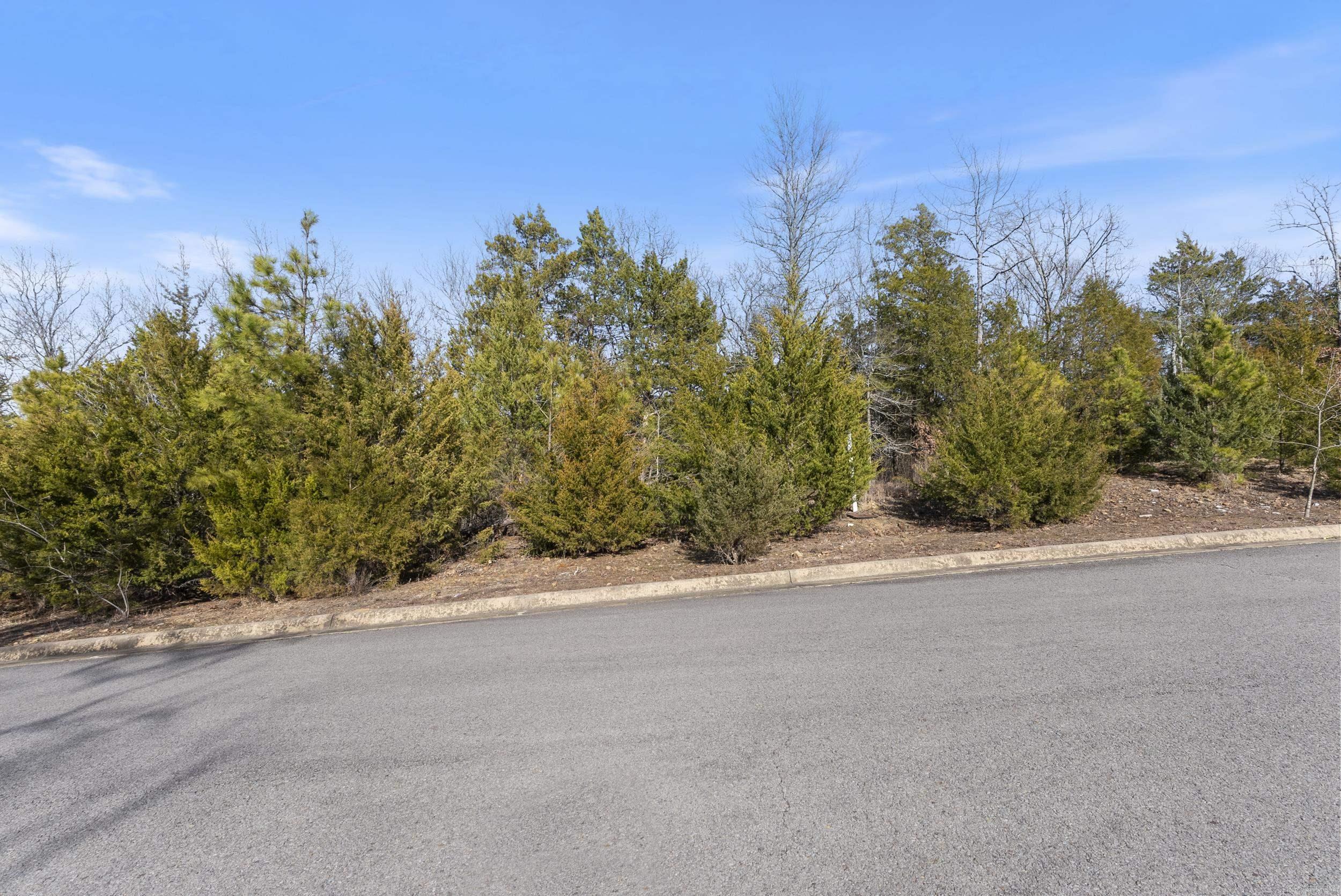 Prestigious Subdivision -- great lot in Spencer Mountain at the Lake, Build your dream home with trees all in front and behind!