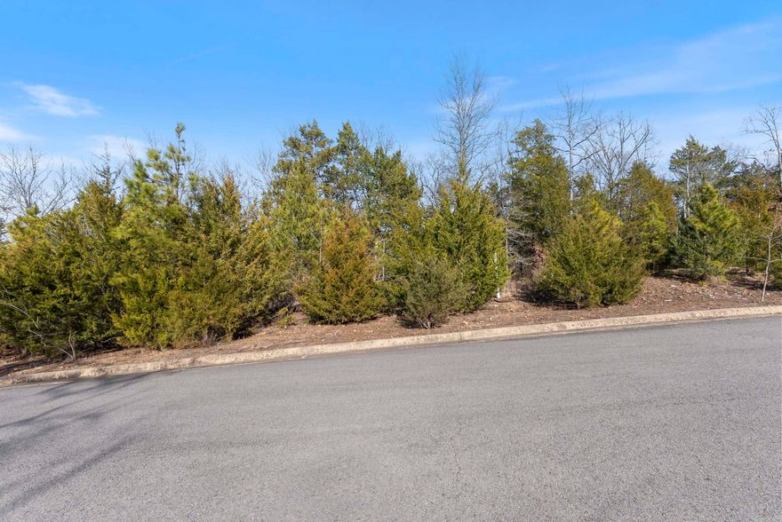 Prestigious Subdivision -- great lot in Spencer Mountain at the Lake, Build your dream home with trees all in front and behind!