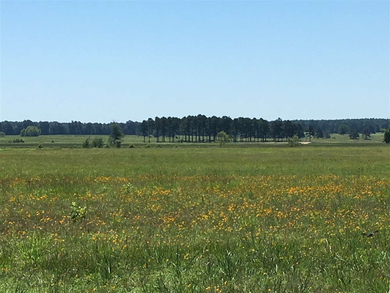 Metes & Bounds - Farm
