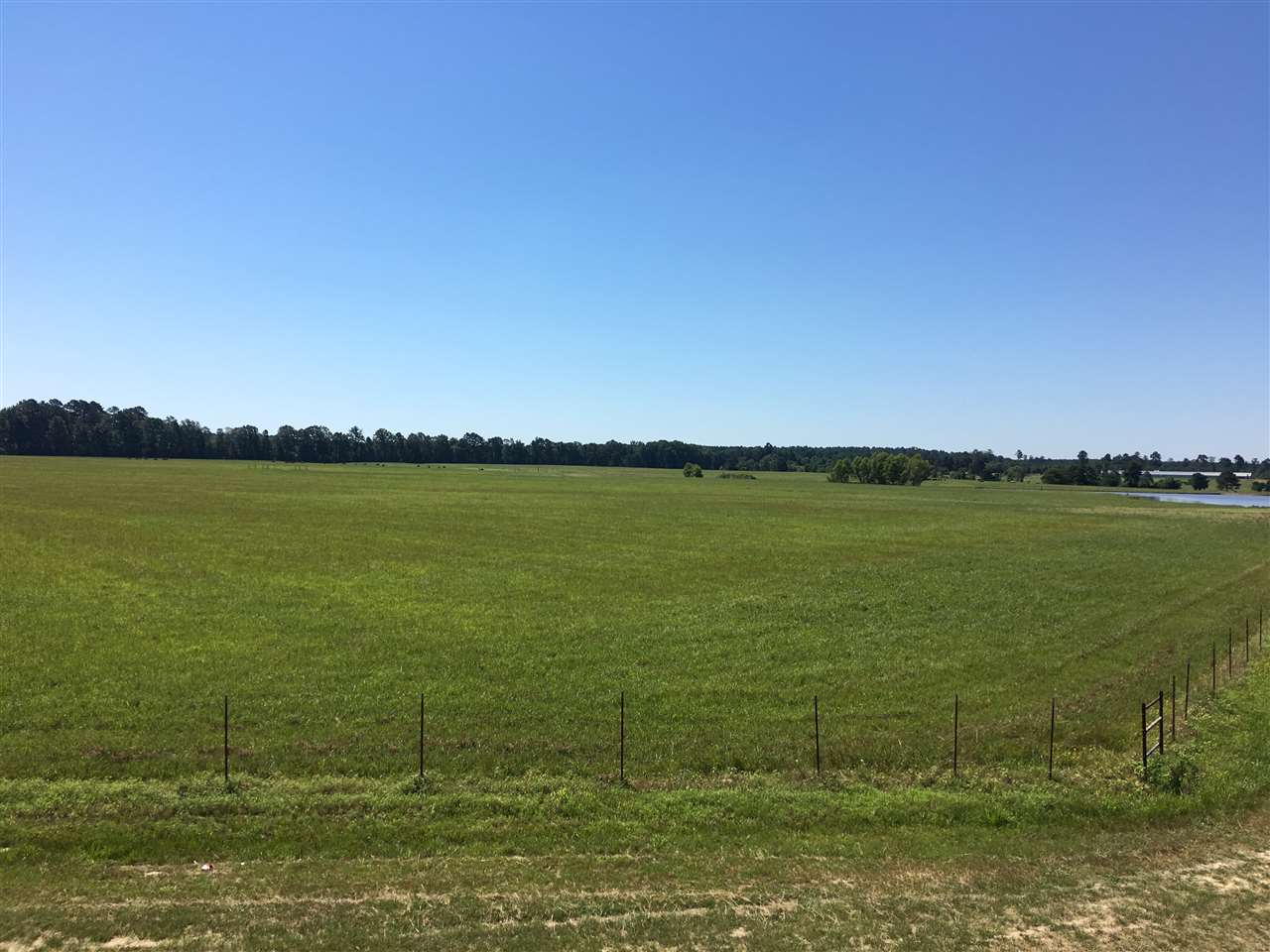 Metes & Bounds - Farm