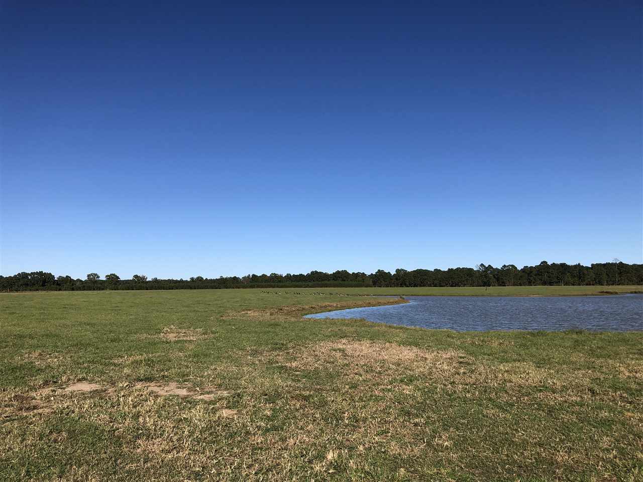 Metes & Bounds - Farm