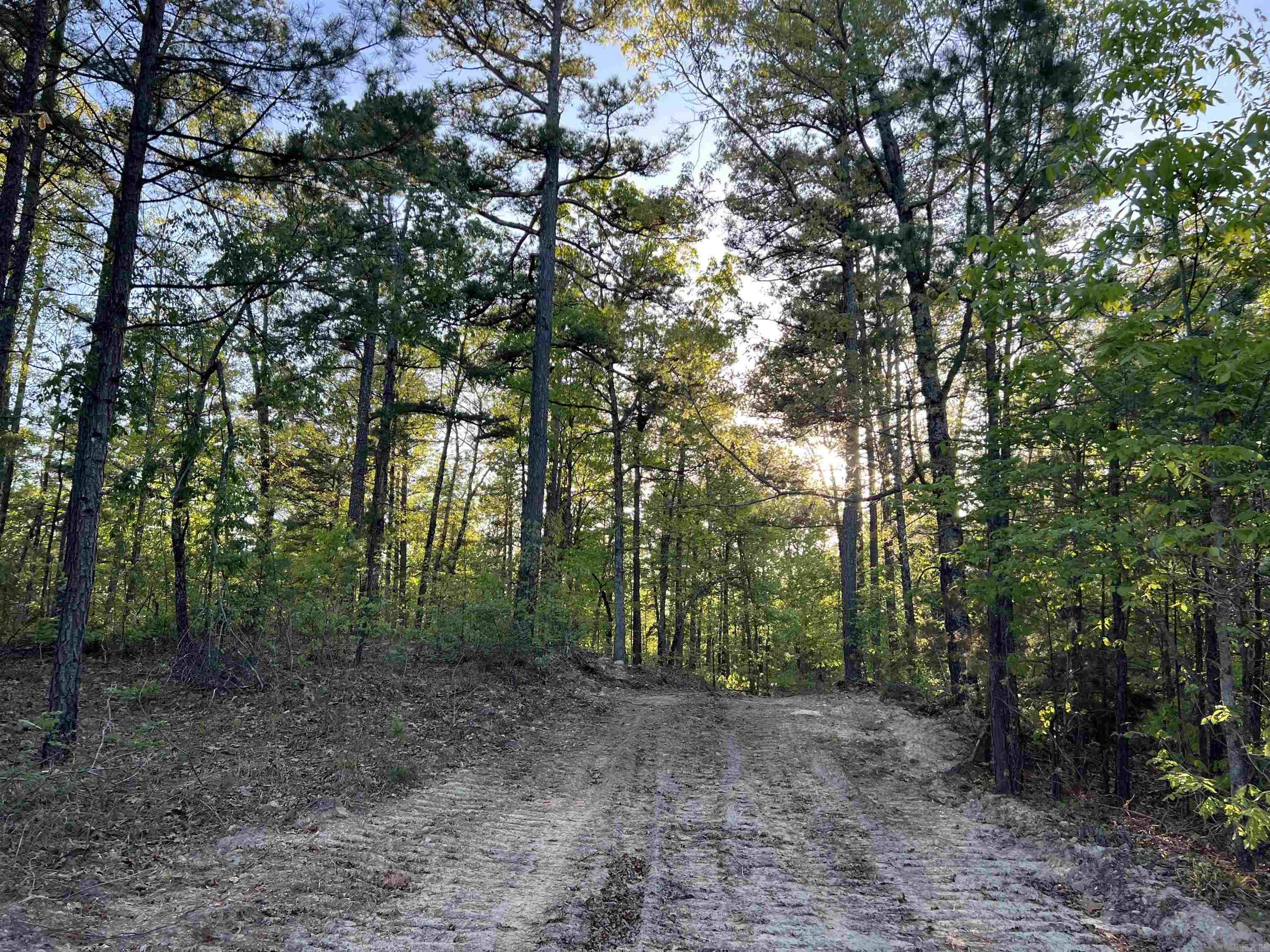 A secluded paradise on the banks of Lake Norfork, this 278+/- acre property is set up to provide what you need! The entire north side is bordered by the Norfork W.M.A , which provides you with even more acres to hunt. This WMA isn't heavily hunted, being at the end of a county road. The north side is also bordered by South Brushy Creek, which provides you with an excellent place to fish! The opportunities are endless on this property! At the end of a county road you enter the property gates and find great deer hunting, turkey hunting, and fishing to name a few. You could also build a secluded home here with incredible views! A well and electricity are already in place. Close to the entrance of the property, there are four mobile homes that overlook the W.M.A and brushy creek. The majority of the property is covered in a good mixture of mature oak and pine trees and hasn't been cut since the early 1990's. This property would make a great investment and would be such a wonderful place to make a lifetime of memories with your friends and family!