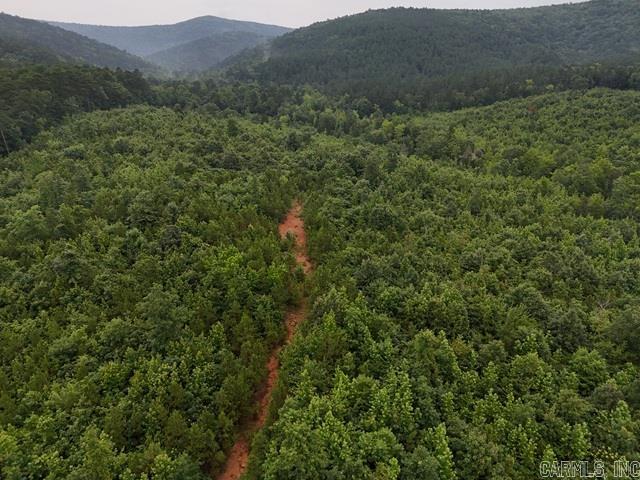 321 acres bordering the National Forest, with a creek on the eastern side of the property, along with panoramic mountain views! Also includes 2 ponds, access to electricity, city water, plus a previously established well for water close to the old homeplace. There is even an old grassy runway area to land a small plane (would need a little work to get back operational). Crystals abound on the property. There are so many building sites...this would make a wonderful retreat. National Forest borders the western and northern portions of the land. Some pasture land for livestock, just so many possibilities with such a large piece of land. Build cabins, subdivide the property, build your dream home, or just use it as a recreational property. See it today!