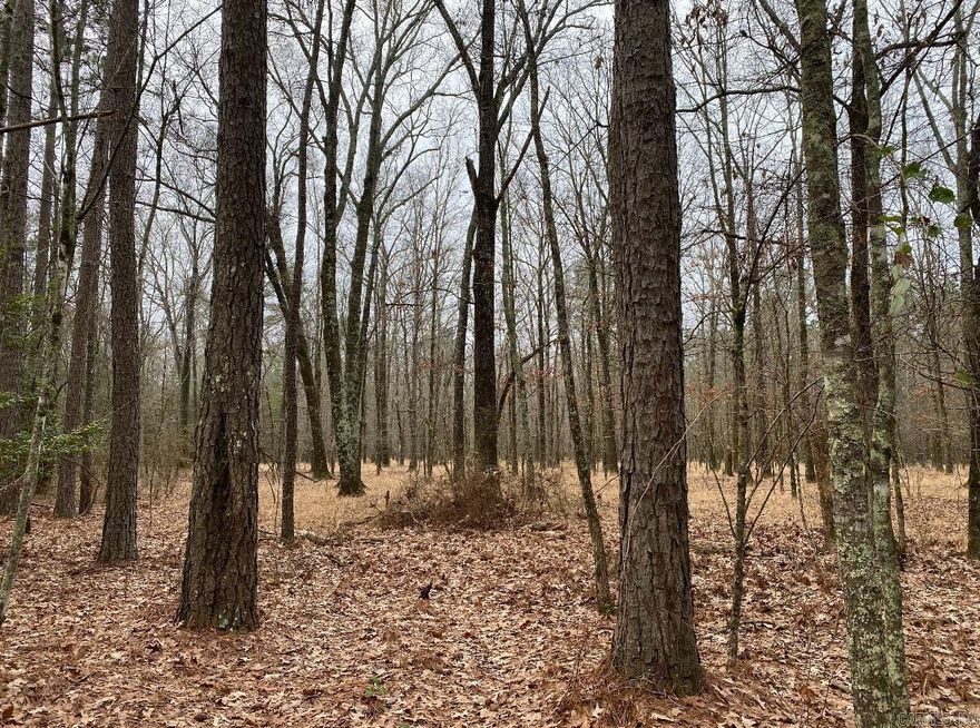 This small tract would be a great investment with an outstanding growth of timber. The deer, hog, turkey and duck hunting on this tract is hard to beat. Give us a call to check this property out!