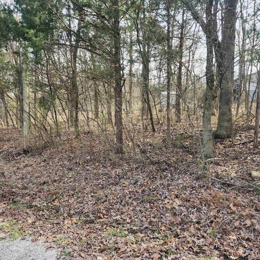 This is a fairly level lot with a gentle uphill slope located on the North side of the village. Close to the North Golf course. This is a nice, wooded lot just waiting for you to come pick the spot you want to build your dream home on. With property ownership comes access to all the amenities of Cherokee Village. 7 Lakes, 2 Golf courses, 2 recreational centers and don't forget about the beautiful Southfork River that meanders right through Cherokee Village.