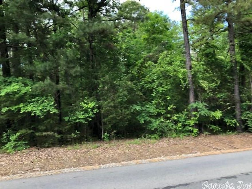 Beautiful lot with Hiram Rd frontage, good pine timber, Mobile Homes are allowed.    MINERALS RIGHTS DO NOT CONVEY.