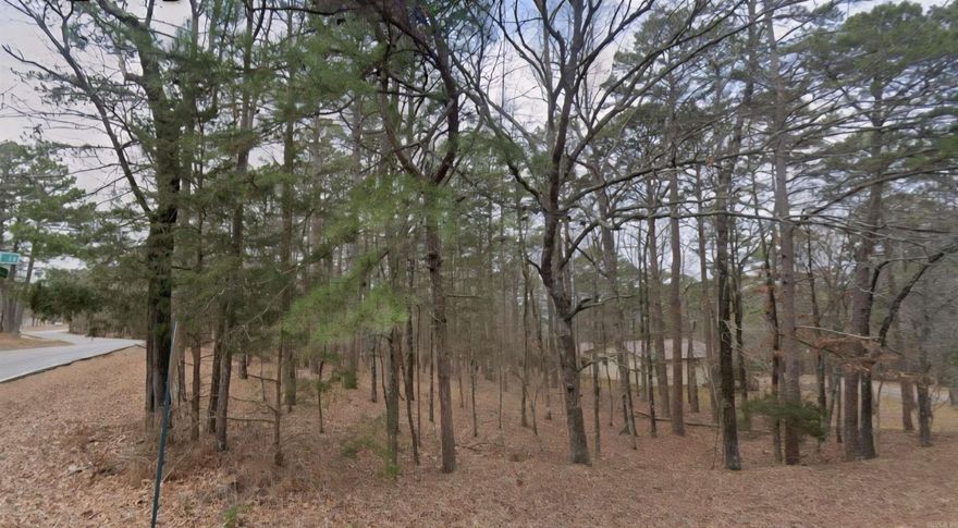 Fairfield Bay is calling you to build your home on this spacious .30 (+/-) corner acre lot! You will love being close to Greers Ferry Lake, marinas, Mountain Ranch Golf Club, tennis courts and all the local amenities. Mobile homes are not allowed. Owner financing available. Call or text today for more information!