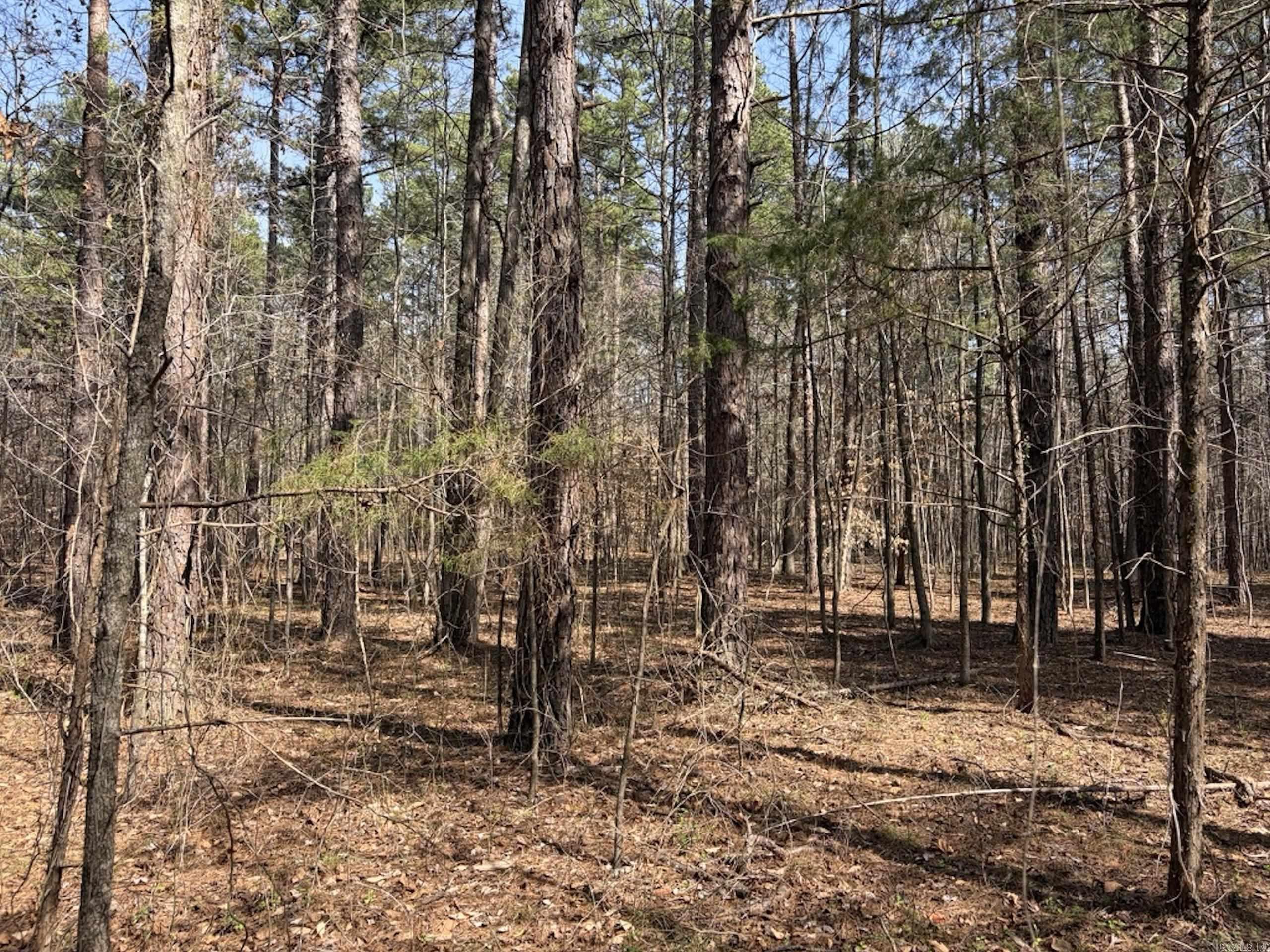 Not in Subdivision - Land