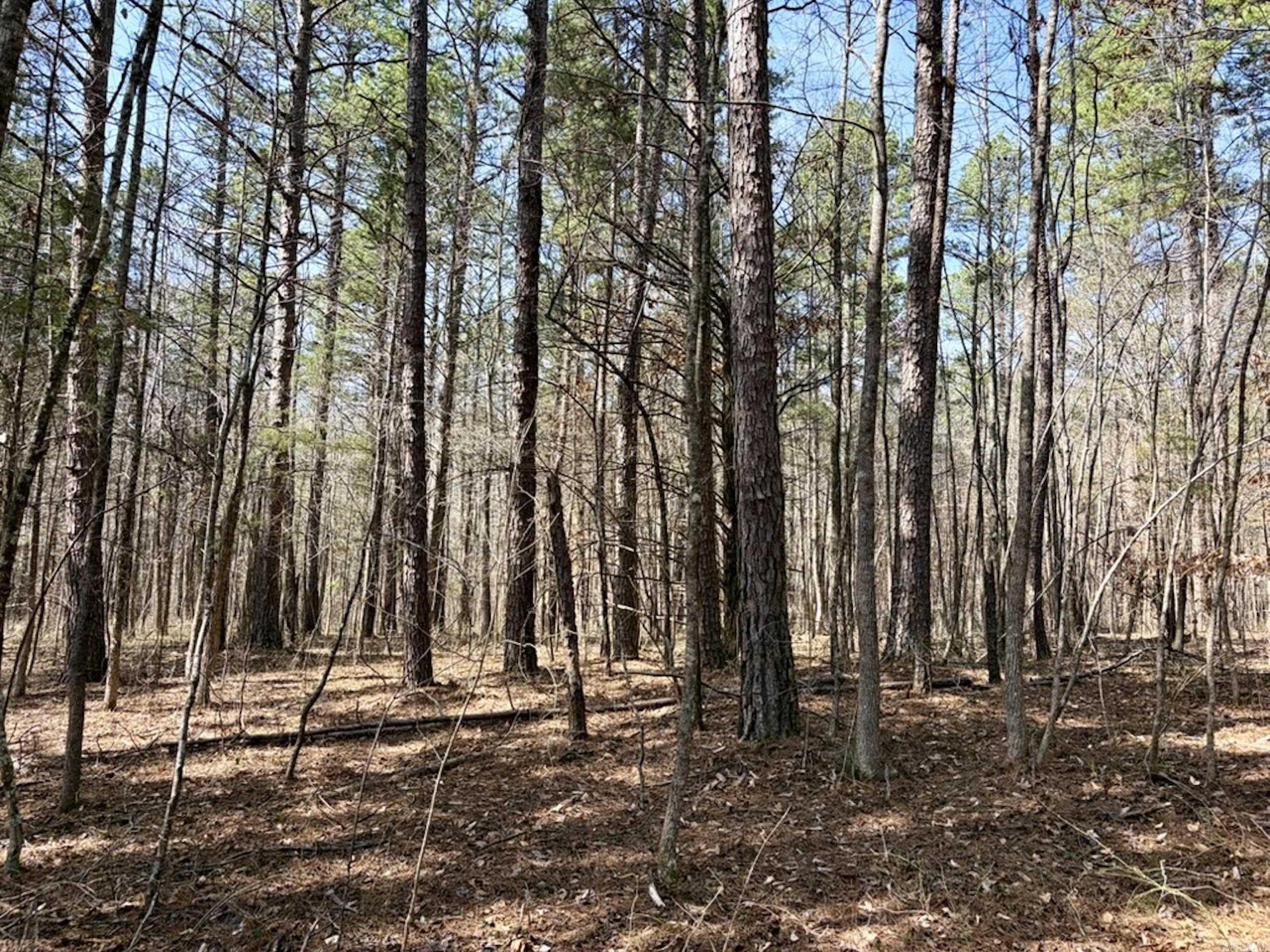 Not in Subdivision - Land