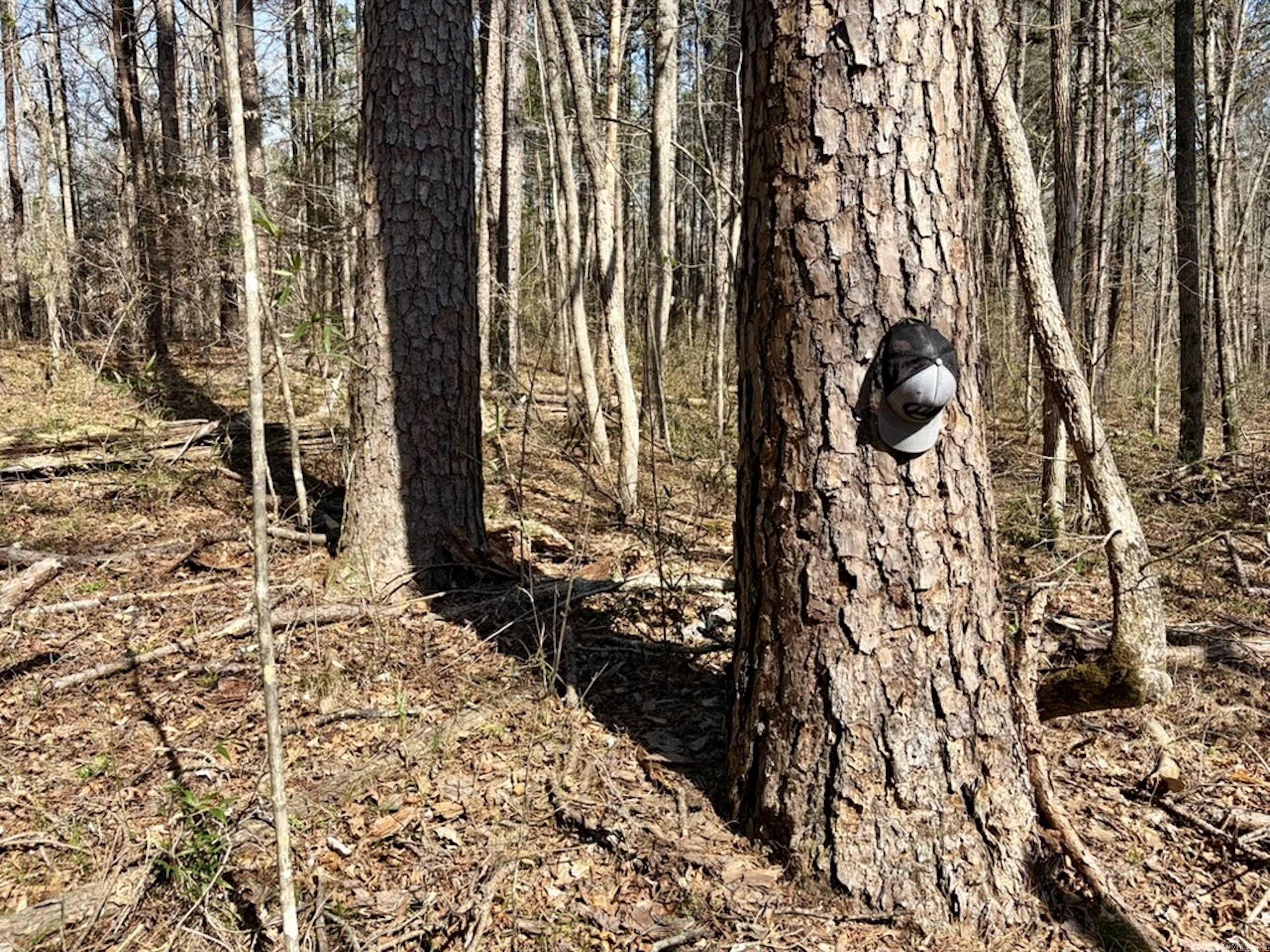 Not in Subdivision - Land