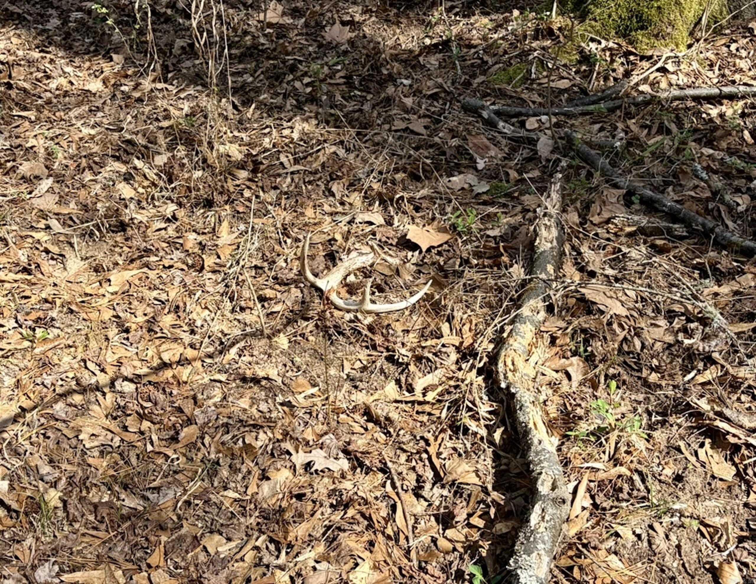 Not in Subdivision - Land