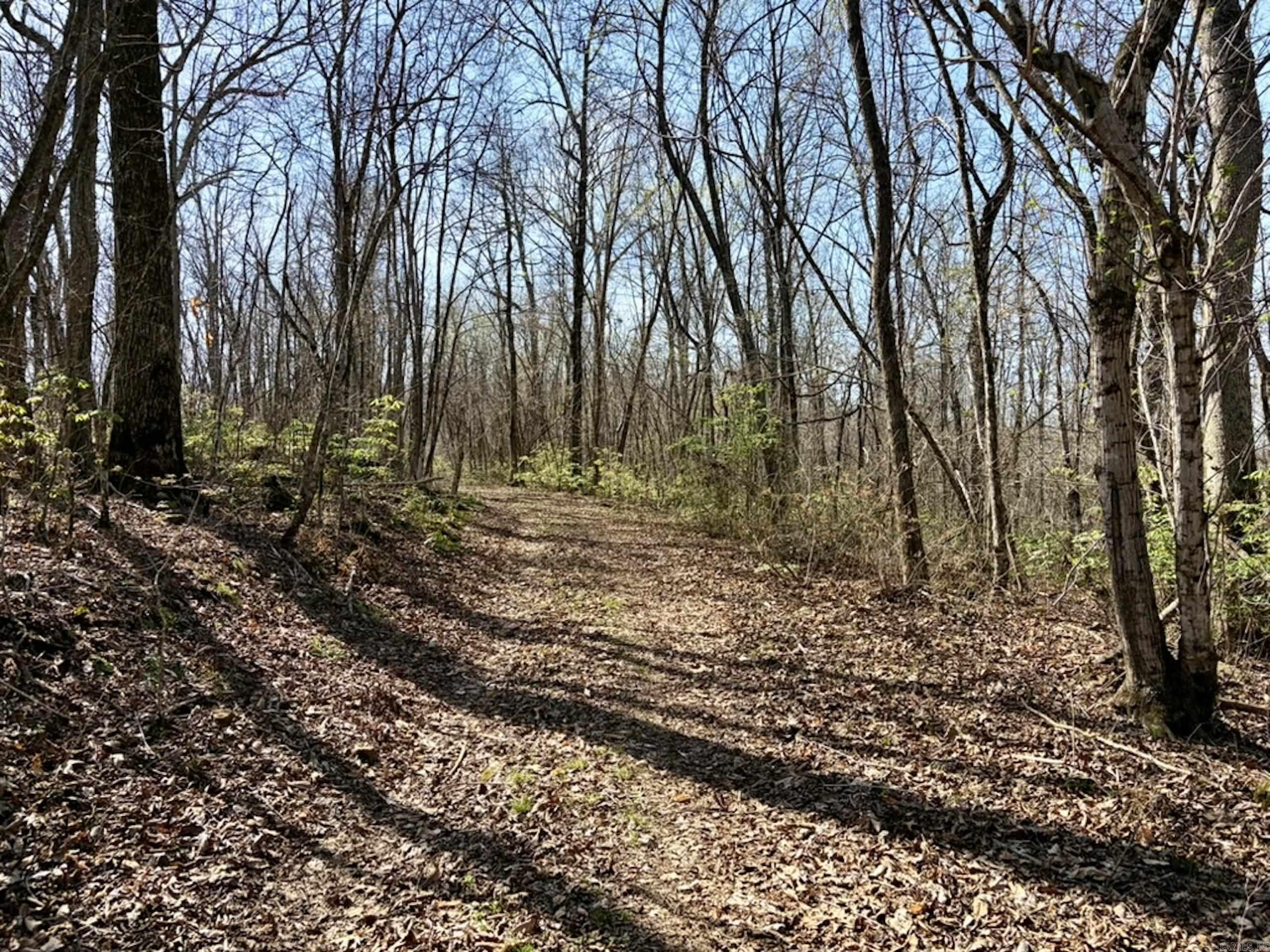 Not in Subdivision - Land