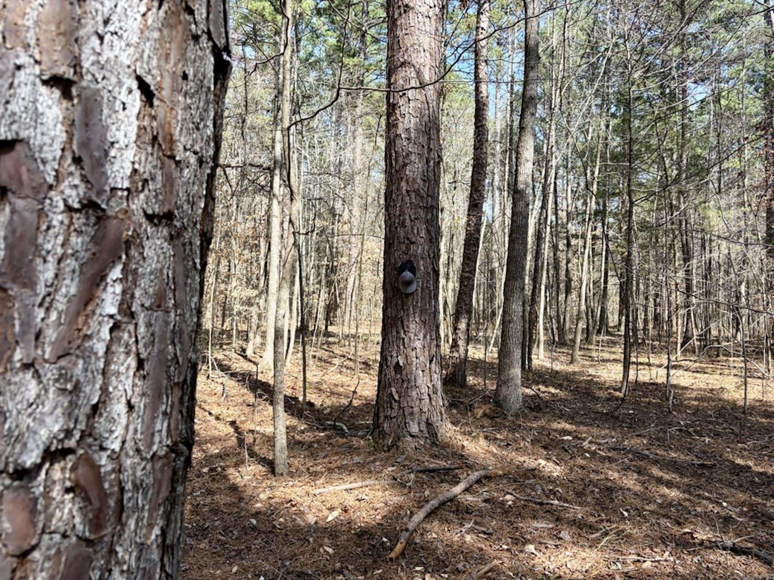 Not in Subdivision - Land