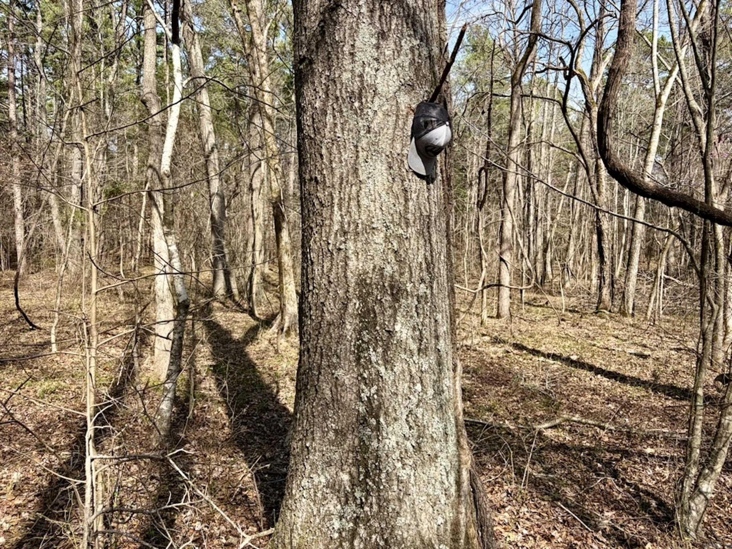 Not in Subdivision - Land