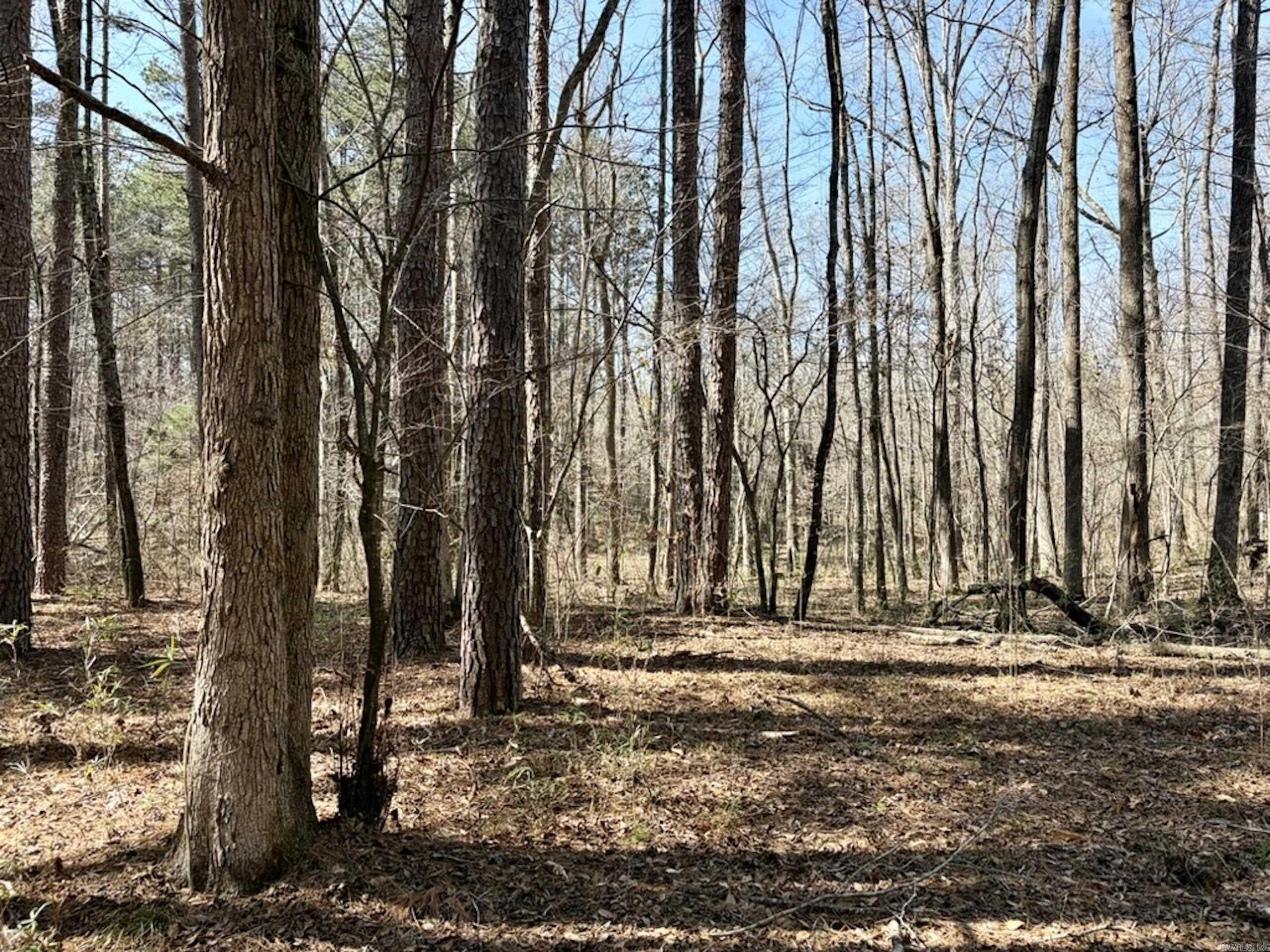 Not in Subdivision - Land