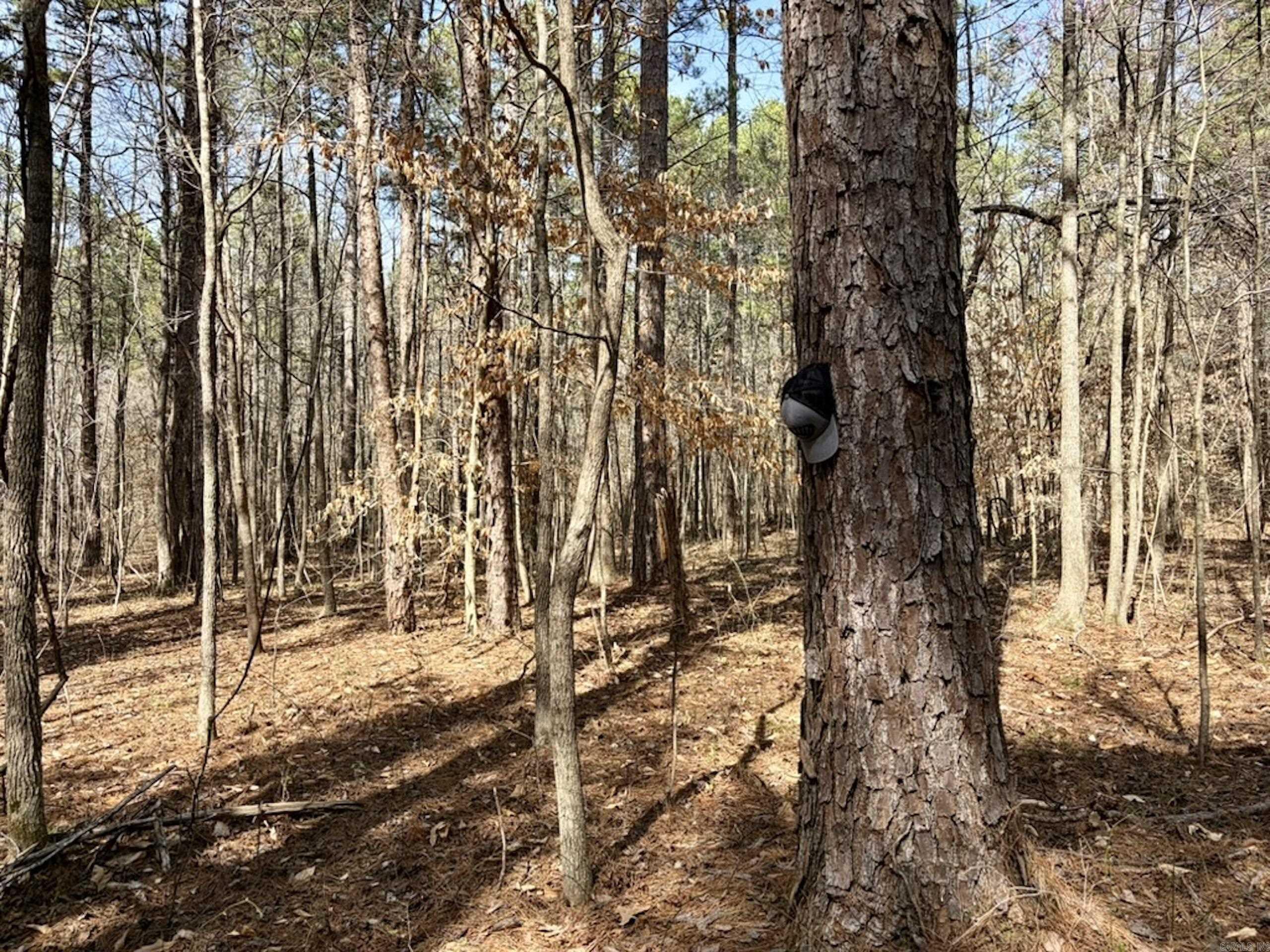 Not in Subdivision - Land