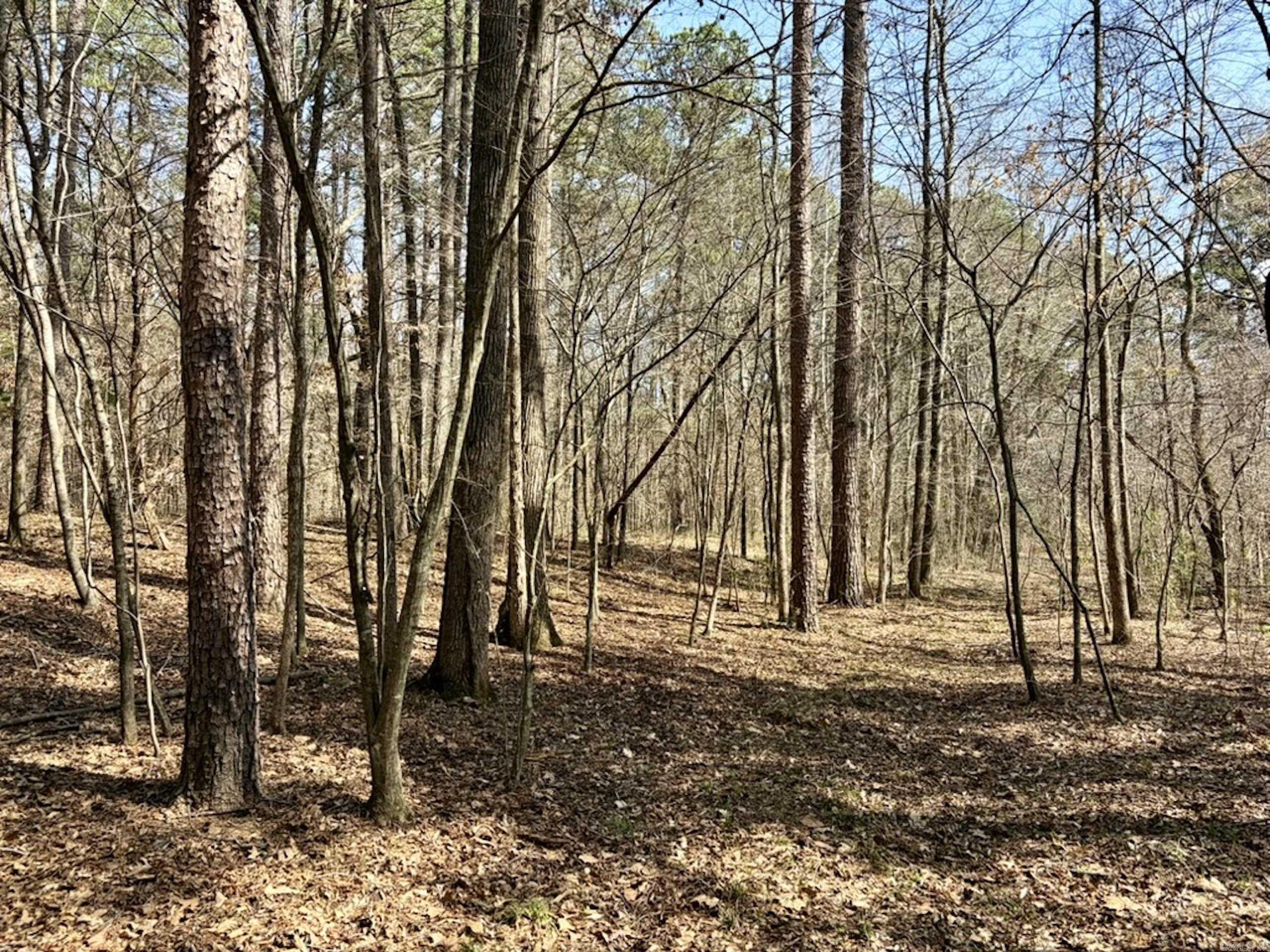 Not in Subdivision - Land