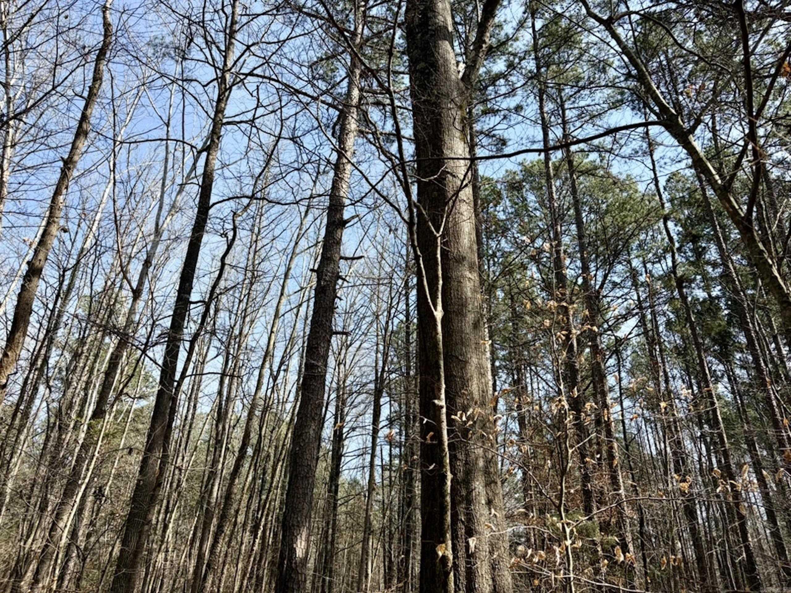 Not in Subdivision - Land