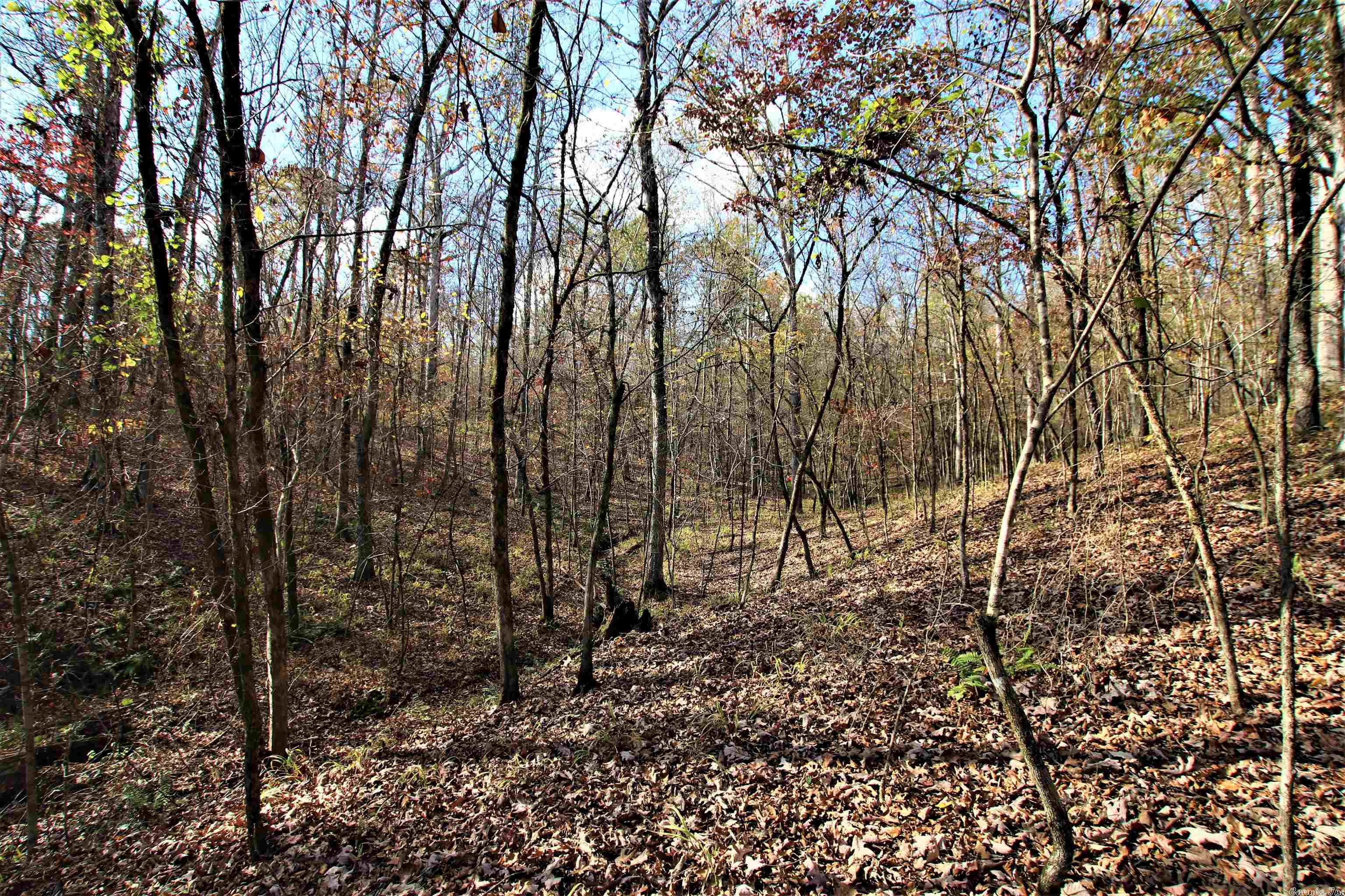 Photo 15 of 38 of 000 Fawn Glade Road land