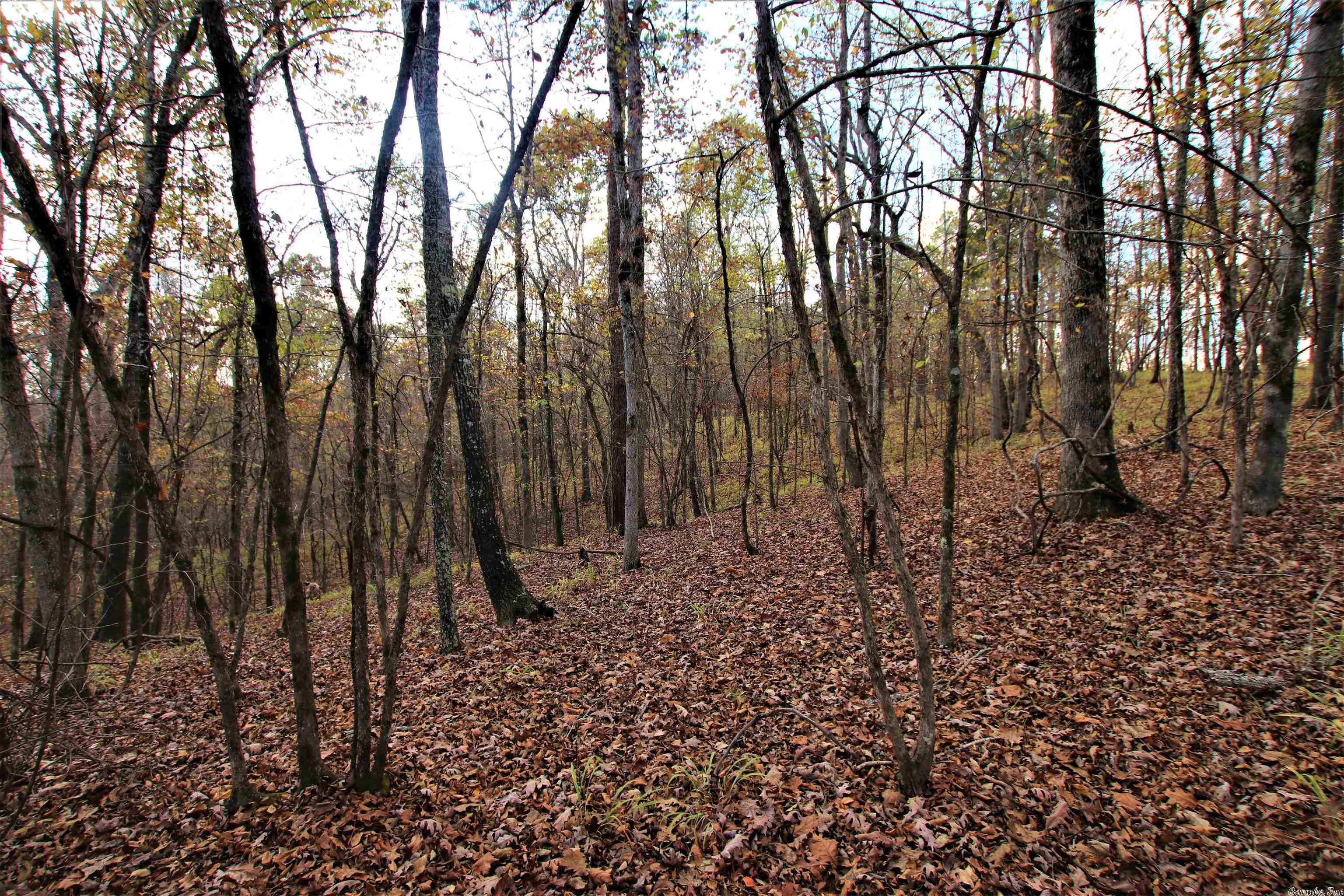 Photo 17 of 38 of 000 Fawn Glade Road land