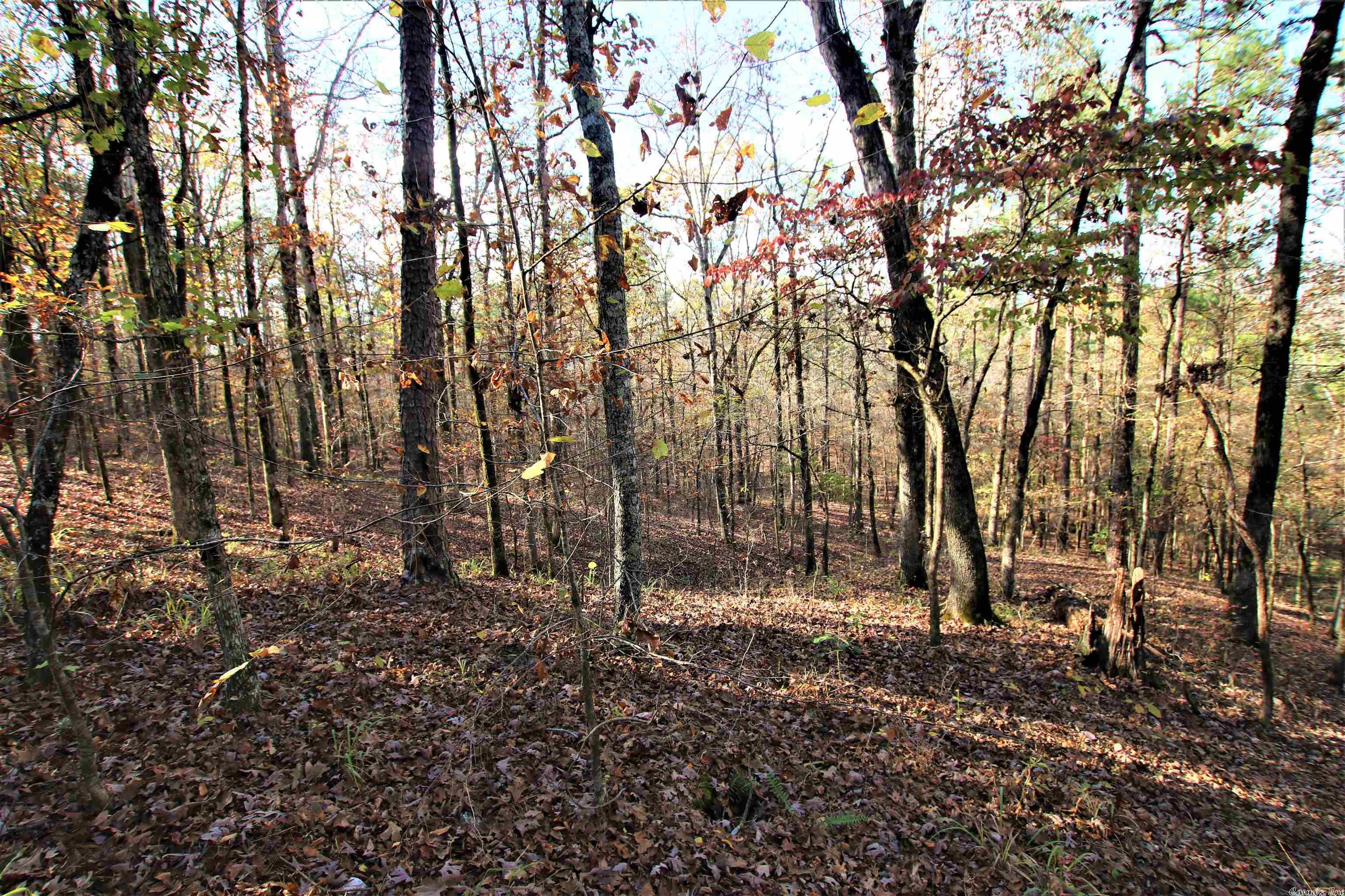 Photo 27 of 38 of 000 Fawn Glade Road land