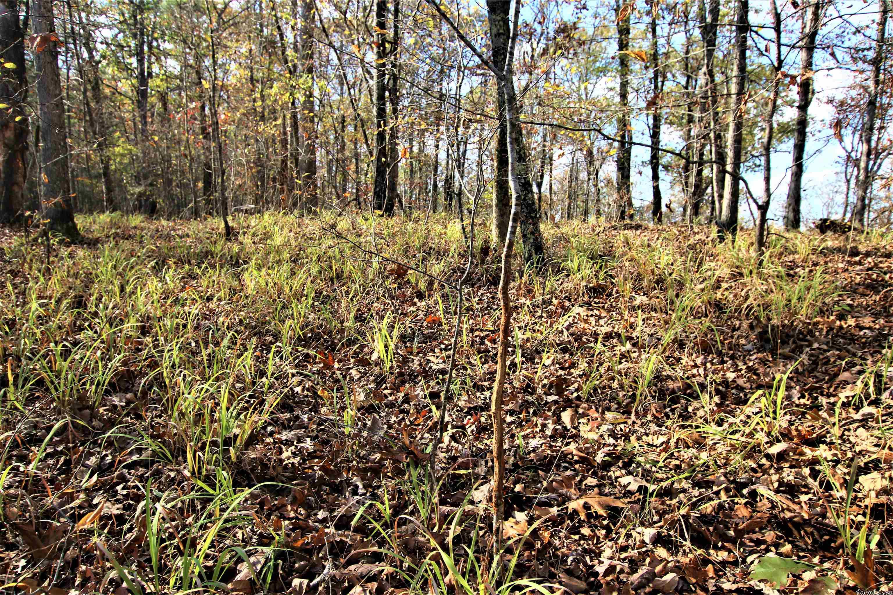 Photo 23 of 38 of 000 Fawn Glade Road land