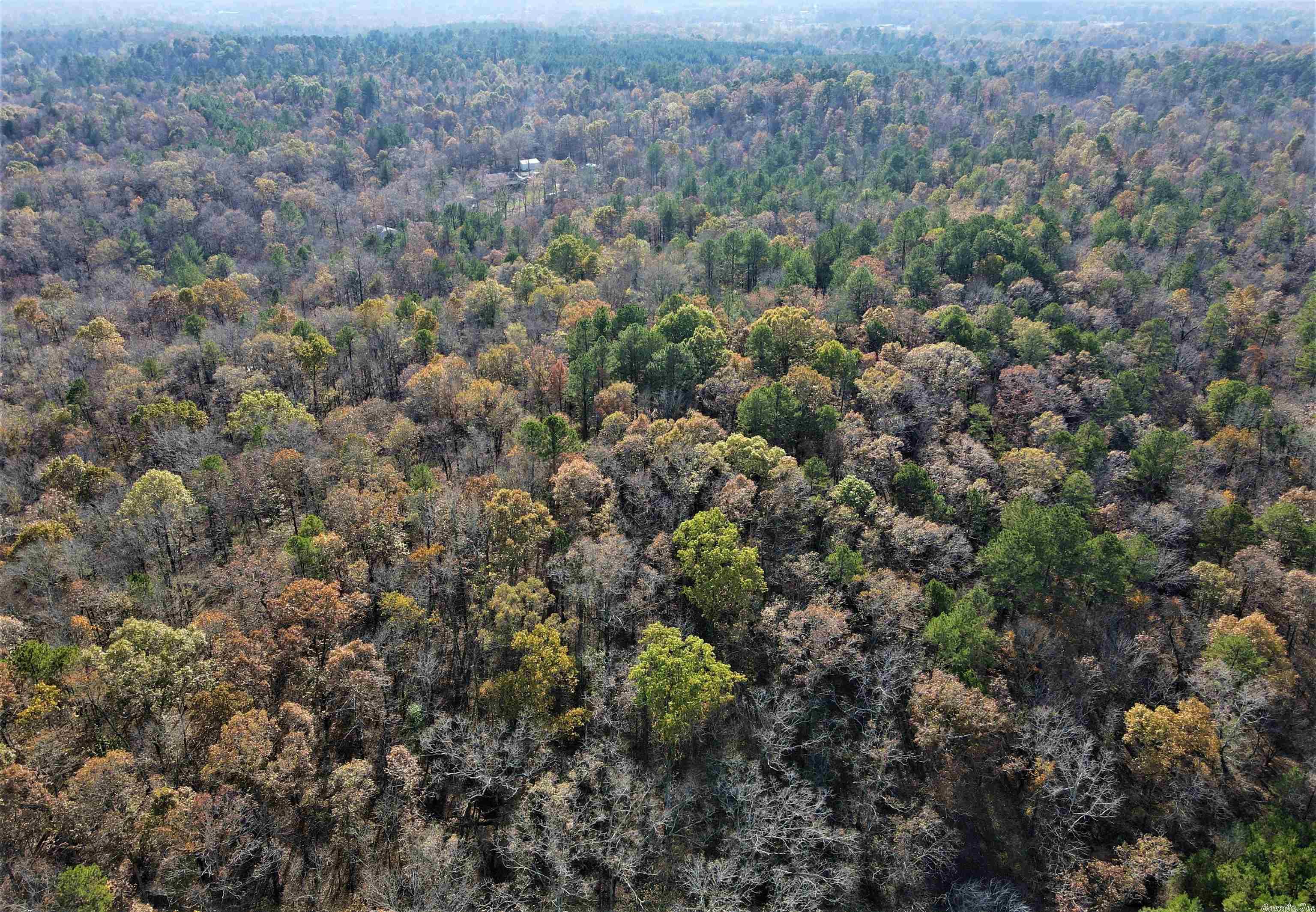 Photo 4 of 38 of 000 Fawn Glade Road land