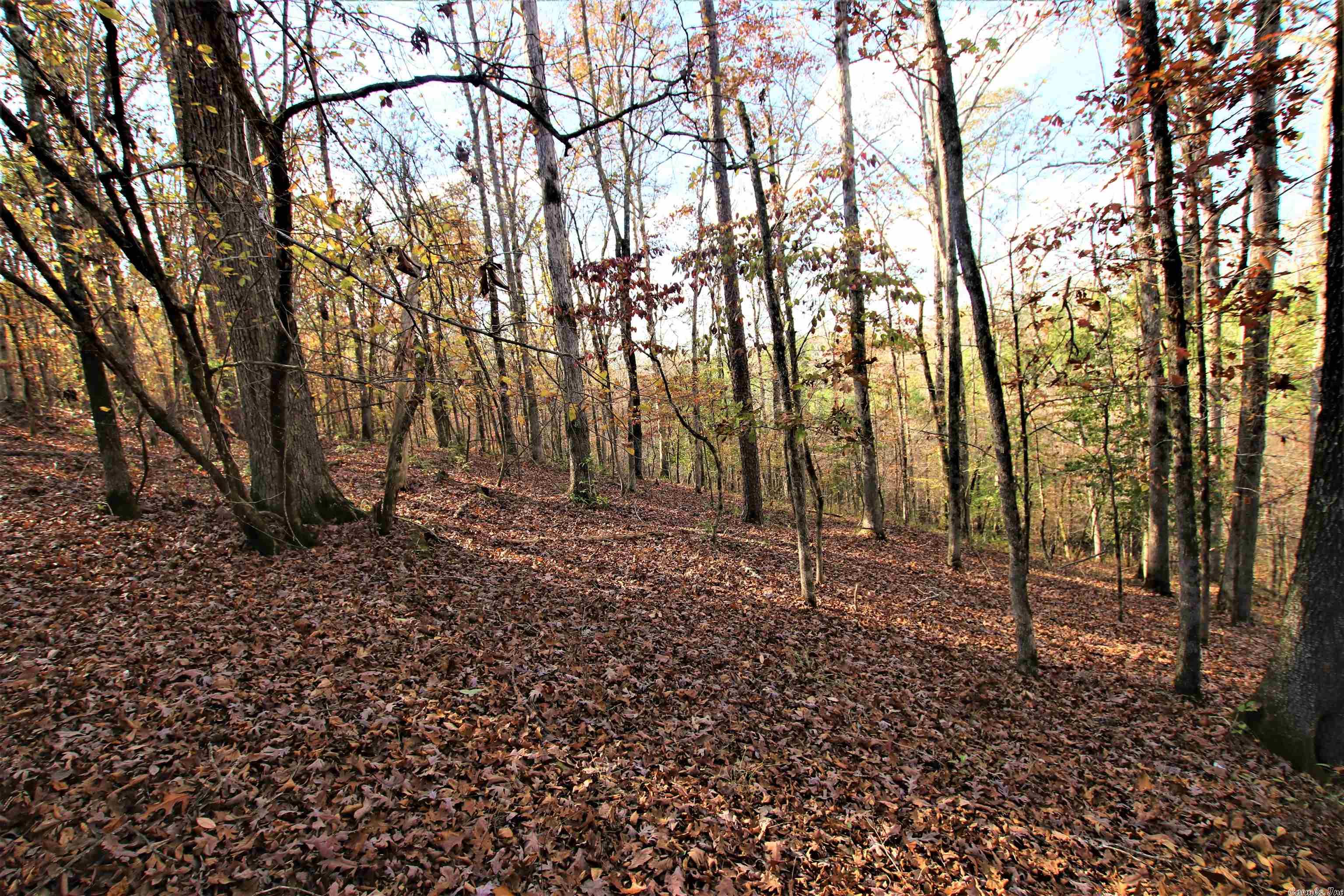 Photo 21 of 38 of 000 Fawn Glade Road land