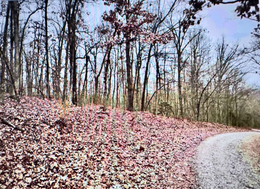 LOCATION LOCATION LOCATION!!!  Spring River Area right between Hardy and Mammoth Springs...this is what everyone is calling to ask for!  YES, you can bring your camper! YES, it is easily accessed!  YES, there is electric near by!  Whether you are coming to the Ozark's Spring River Area to fish, float, hunt, or just to escape the rat race THIS piece of property has a got the combination of location and price that can't be beat right now!  Make the move...make it yours...make the call now!