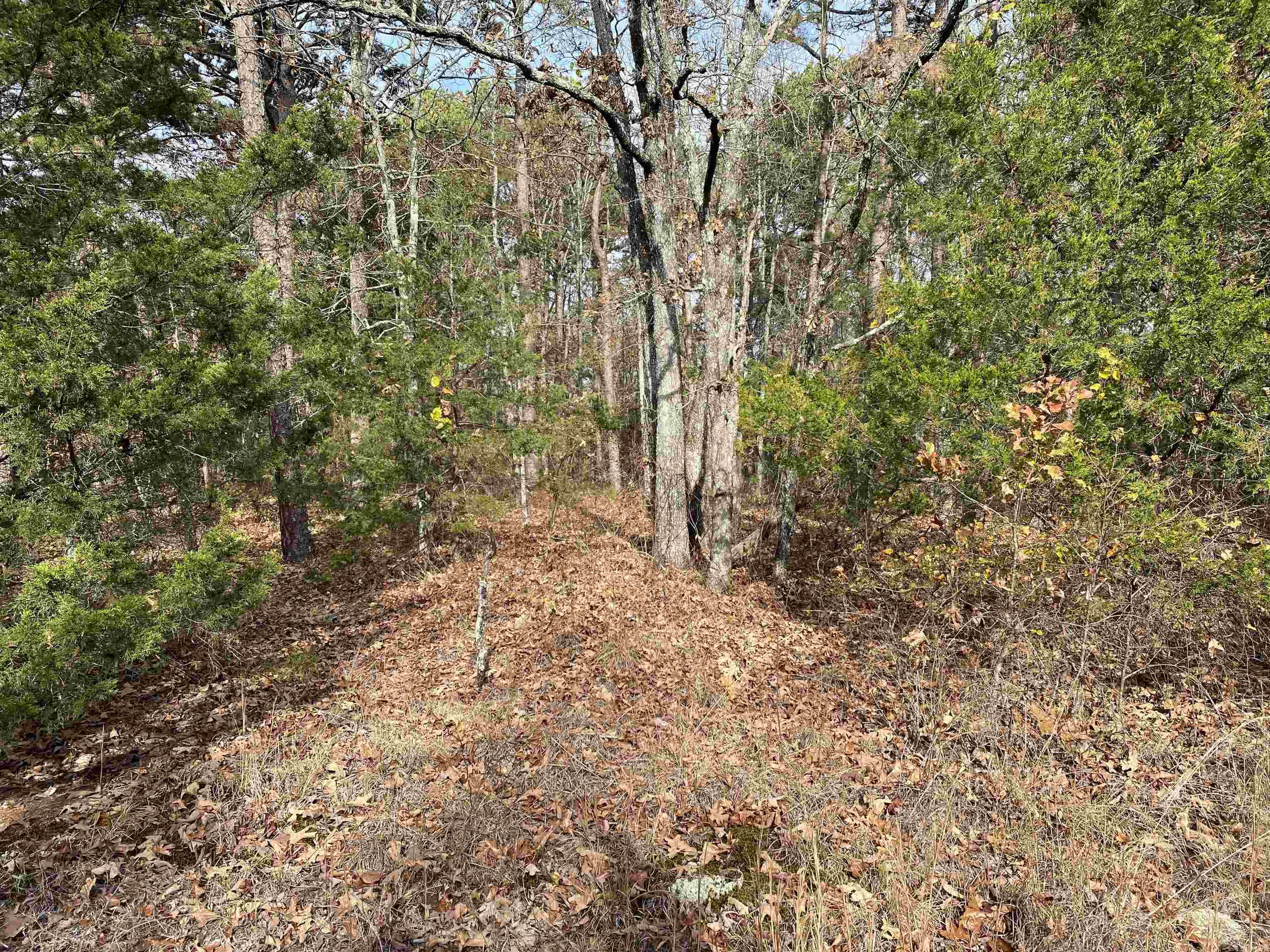 Metes & Bounds - Land