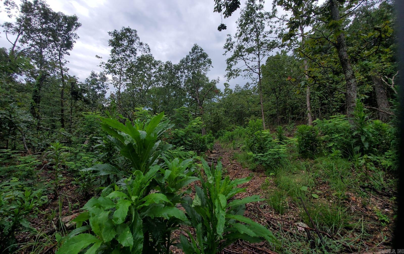 Not in Subdivision - Land