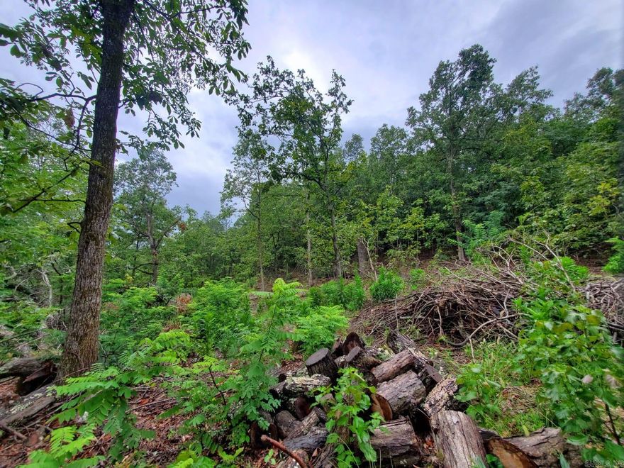 The 15.26 acre lot for sale in Flippin, Arkansas offers plenty of space for your dream project. It's a fantastic location for building a home, starting a farm, or enjoying the beauty of nature. Flippin is a charming town with a friendly community and a peaceful atmosphere. Don't miss out on this amazing property!