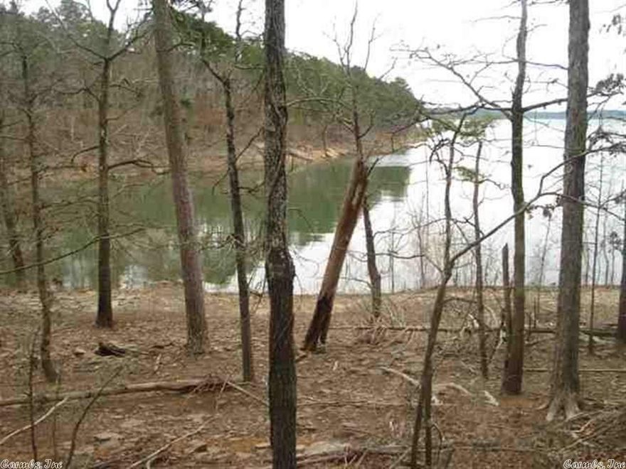 LAKE FRONT ACREAGE!!  The land has also been leased out as hunting land in the past. The seller states there is about 4,000 ft. of water frontage on this property. Tannenbaum Golf Course is located just down the street. There is a road roughed in on the property, but the land was never subdivided. You can choose to subdivide or keep it as a private estate.
