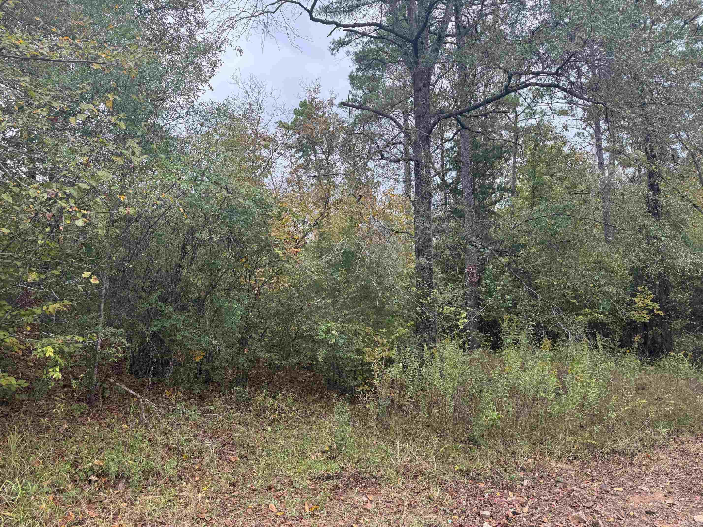 Metes & Bounds - Land