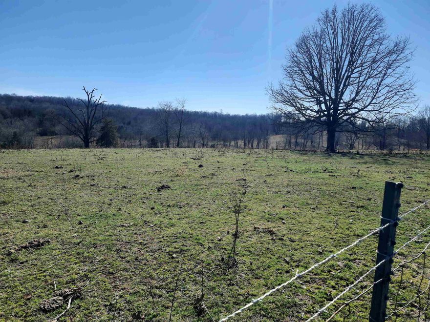 Beautiful rolling pasture, ready for you and your cows, horses whatever you enjoy, take a look, fenced and cross fenced, ponds, wonderful building sites. Located in North Central Arkansas, Mammoth Springs area offers fishing, swimming, recreation, one of the largest springs in North America.  Mammoth Spring feeds the Spring River great fishing, swimming and adventurous floating.