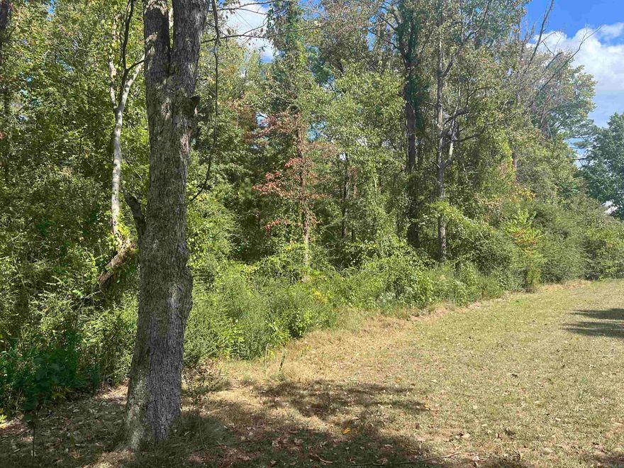 Discover the perfect place to build on this beautiful 4.25-acre level tract surrounded by mature trees and natural scenery. This uncleared wooded property offers a peaceful, private setting while providing plenty of space for a homesite, shop, or recreational use. The level terrain makes development easier while still allowing the option to maintain privacy with the existing timber. Whether you’re looking to build your dream home, create a weekend retreat, or invest in land, this property offers excellent potential with a quiet country feel.