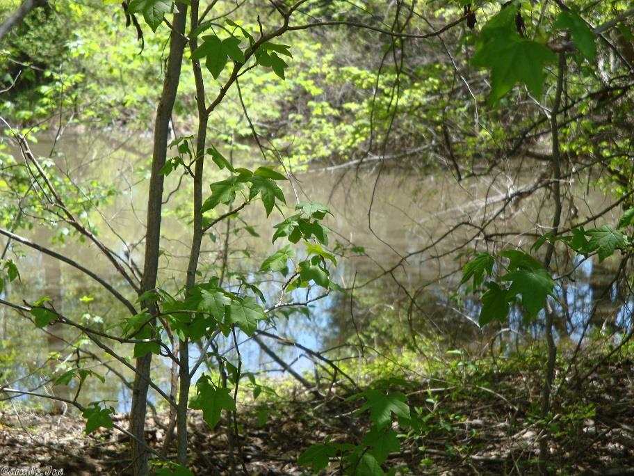 Netherland - Residential