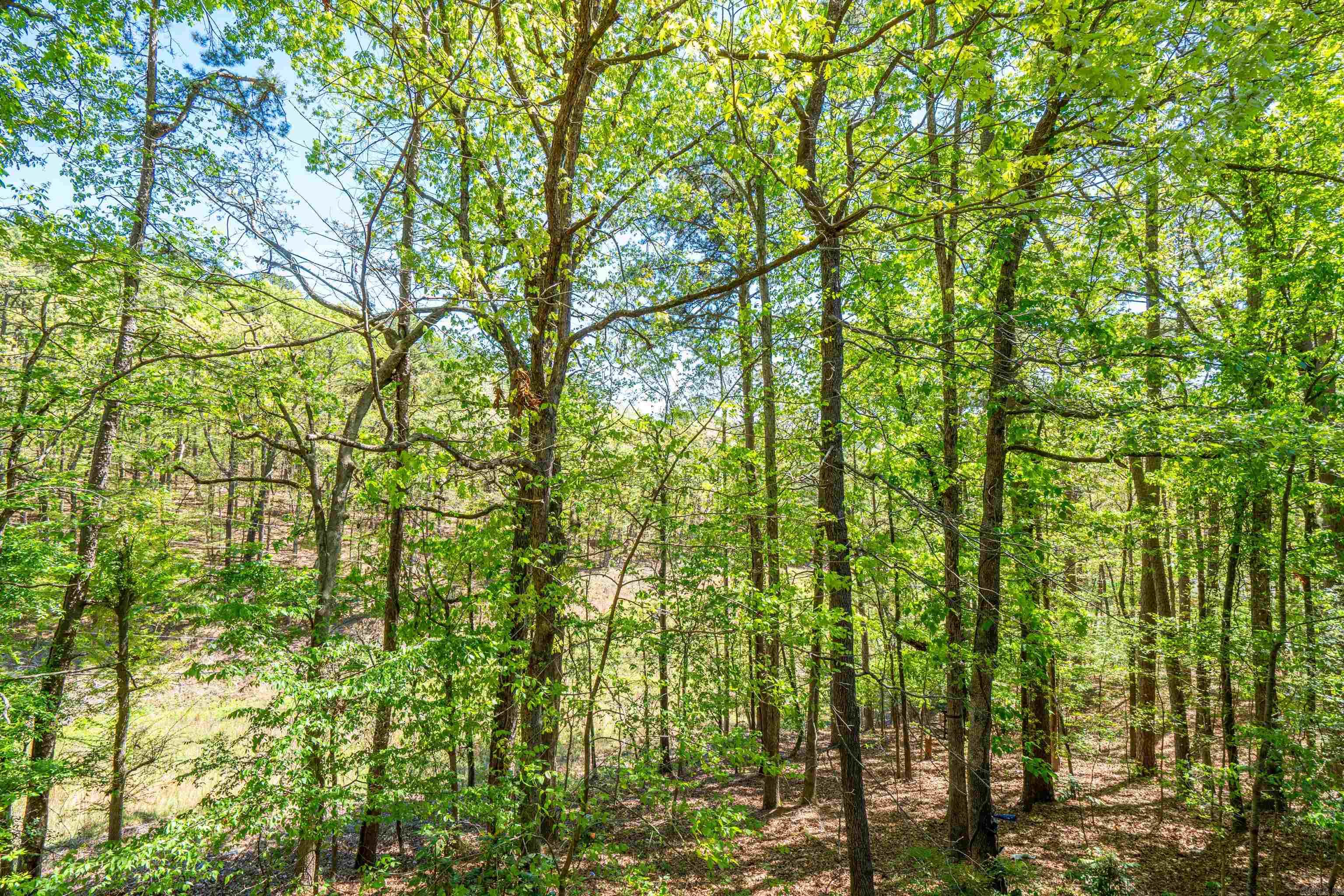 Madrid Courts - Residential