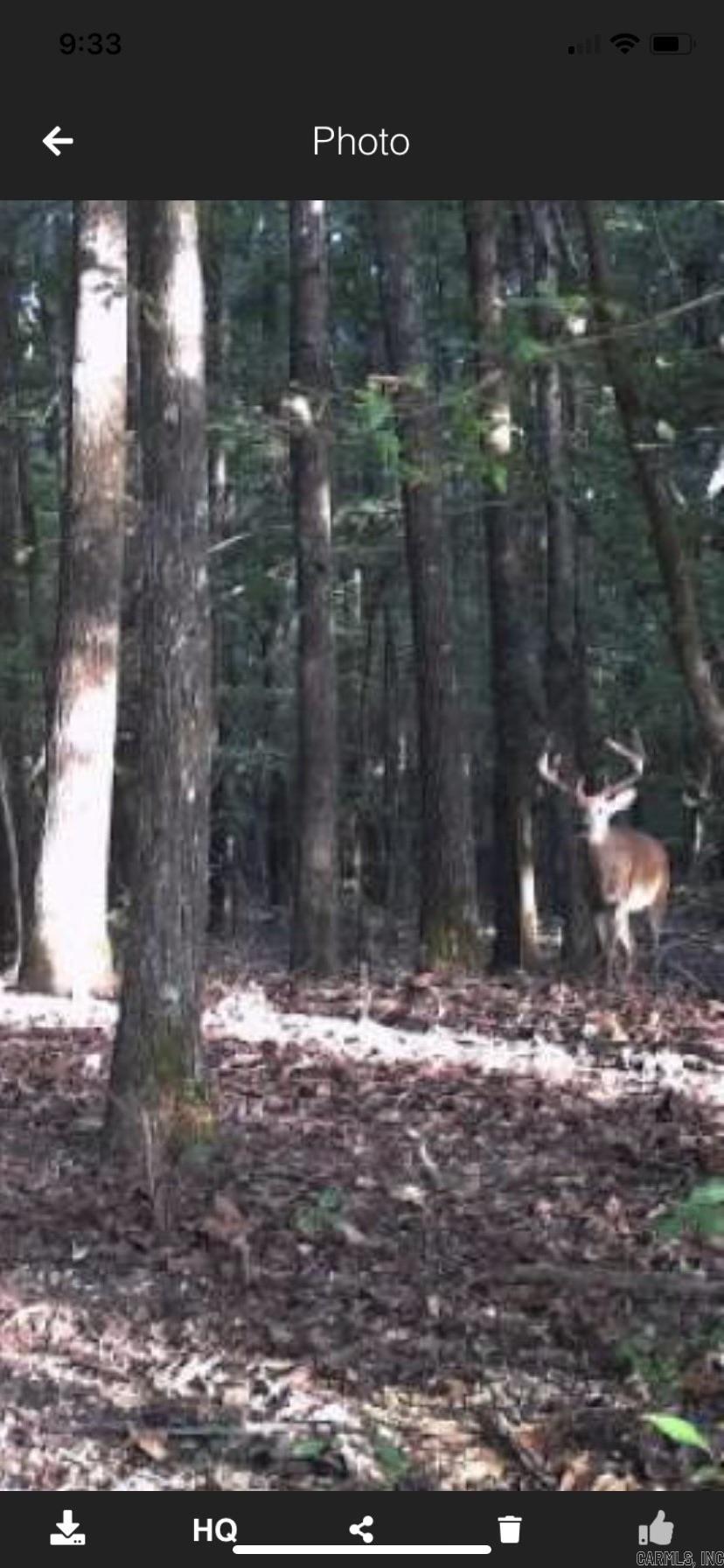 Not in Subdivision - Land