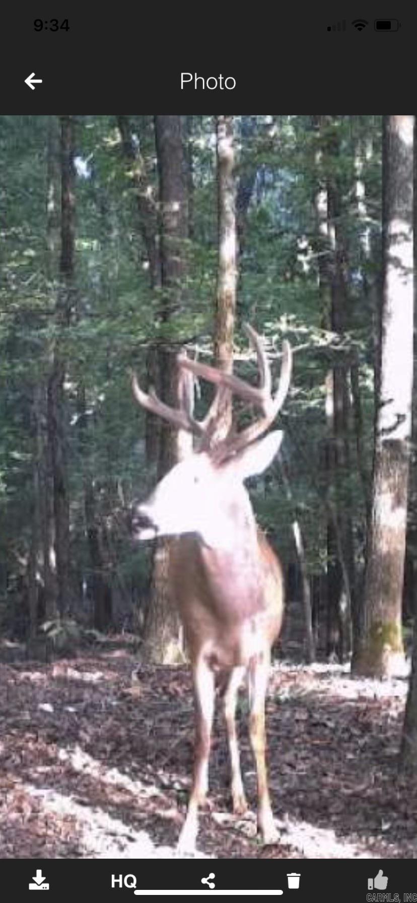 Not in Subdivision - Land