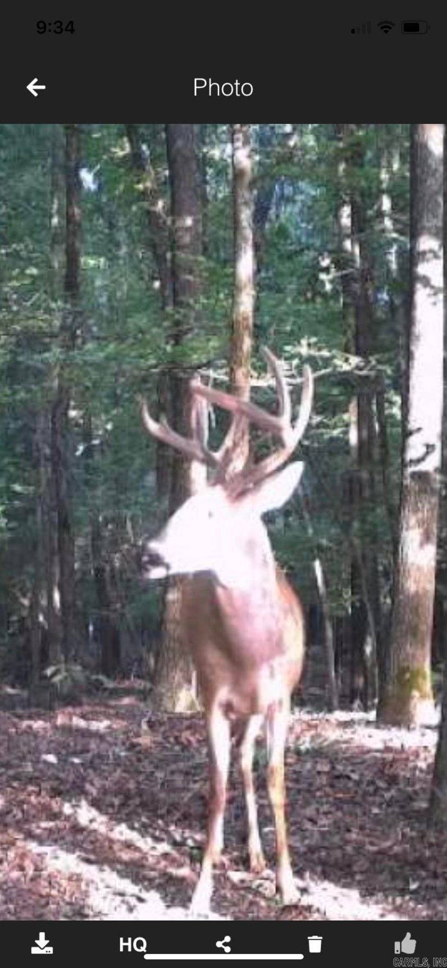 This property is surrounded by farms, and is a great bedding area for deer. Owner has counted over a 40 deer at one time from 4 different stands.  The property has switch grass making it a perfect place for animals to hide. There is 12 acres of hardwood trees on the back of the property. This land has the potential to be turned back into a good farm.