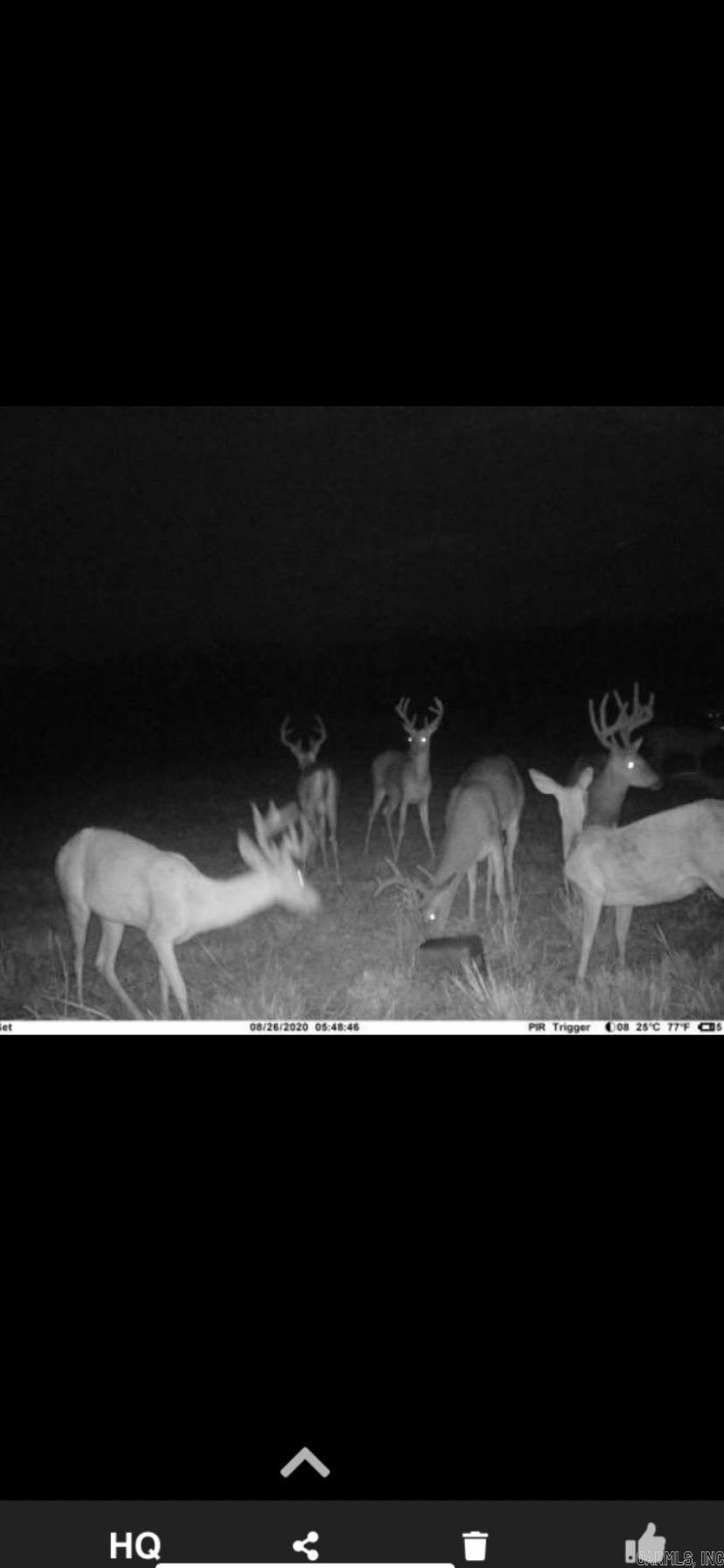 Not in Subdivision - Land