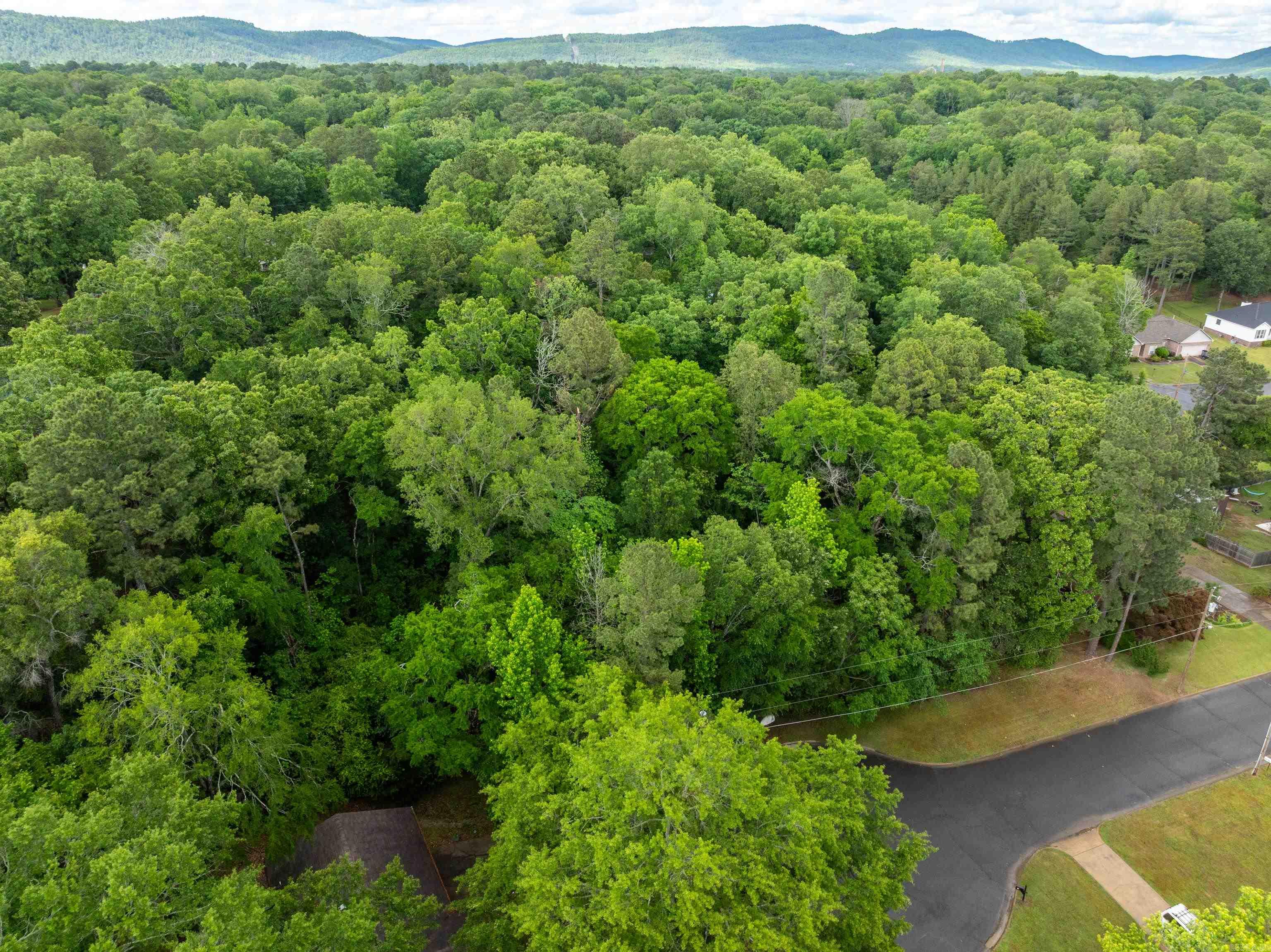 Indiandale #4 - Land