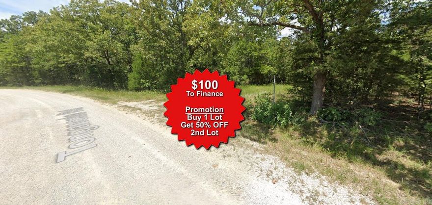 Buy one lot and get 50% off an additional lot! Owner-finance for easy terms. Cash buyers can pay by debit or credit card as well. Nice lot to develop or hold for future value. Public water and electric are available to run to property and will need septic. Owner/agent. No mobiles allowed. 300-2500 minimum build size on any other type of home, depending on subdivision. Finance is $100 down and 10 months at $99 and closing costs are included. Lots marked with red banner are part of promotion. No limit on lots. Buyer responsible for any/all taxes and lots sold "as-is". Quit claim deed conveys. Parcel ID# 235-15096-000